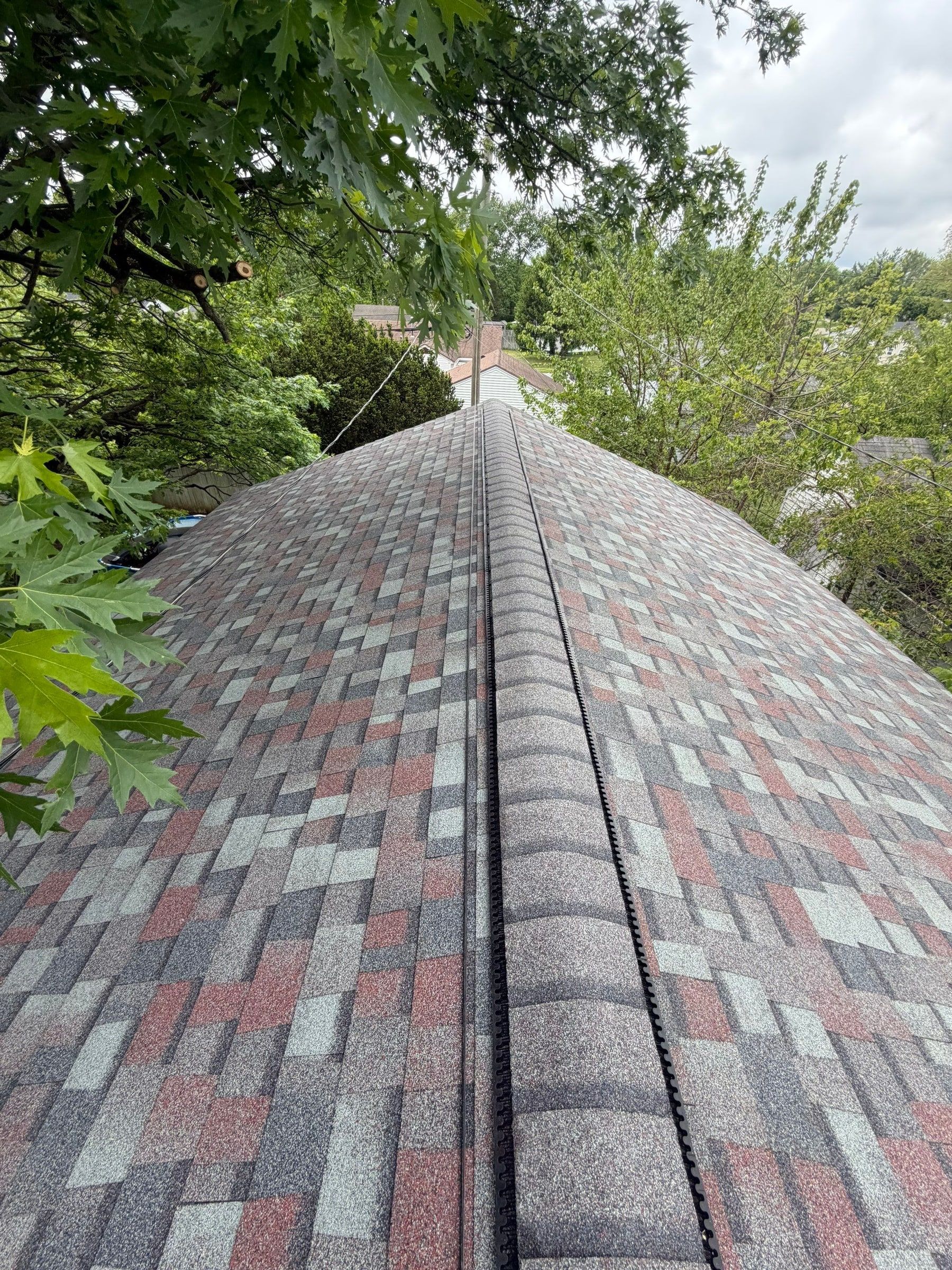 The finished garage roof and its ridge vent under the trees, Dayton, Ohio.