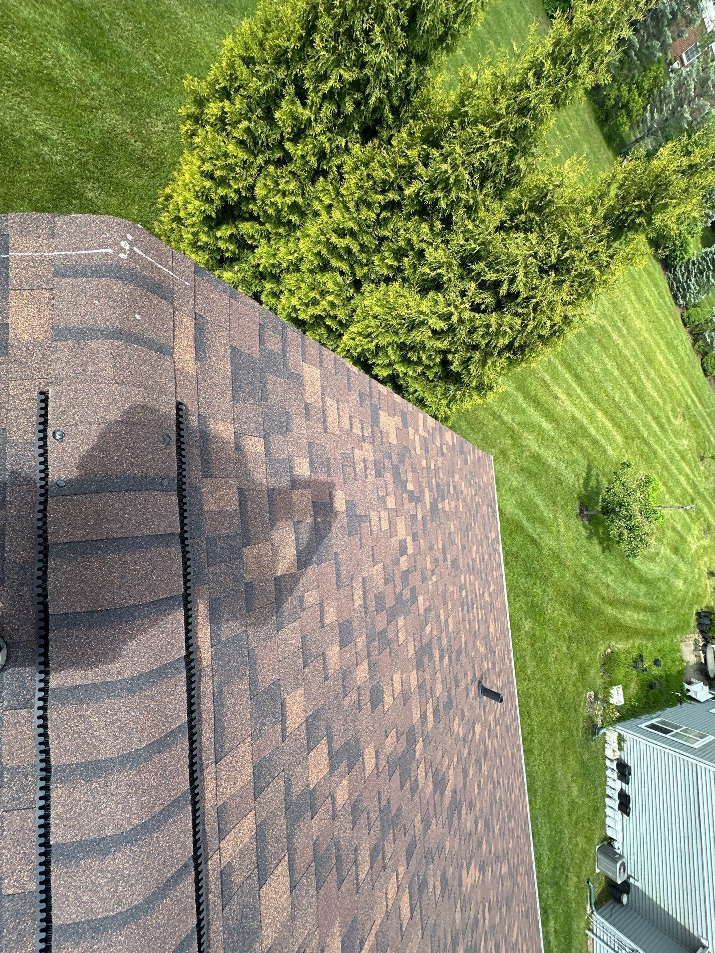 Roof slope above the side shrubs