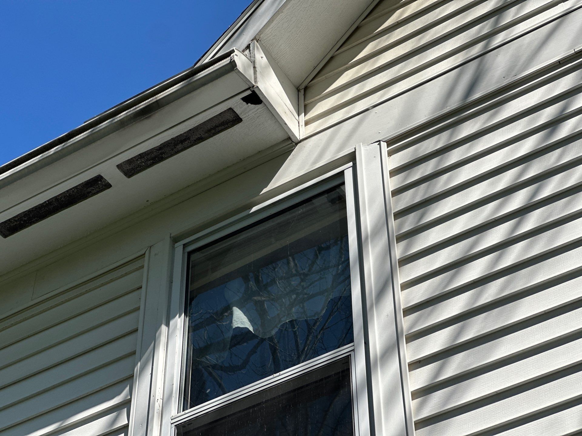 Chewed wood soffit and old vent strips above a window, Bellbrook, Ohio.