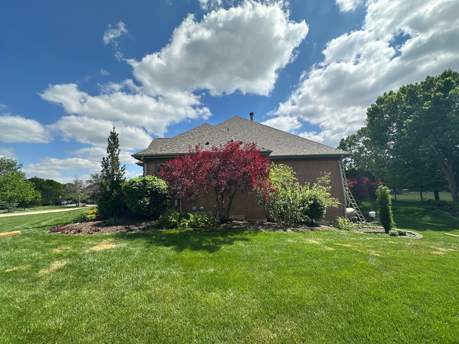 Side of the house and red maple