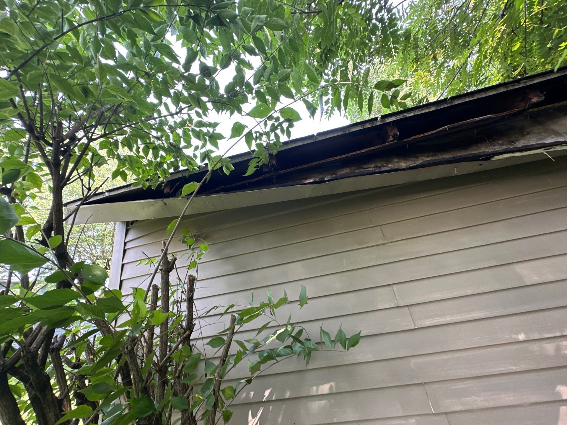 Rotted wood along the roof edge of the detached garage, Beavercreek, Ohio.
