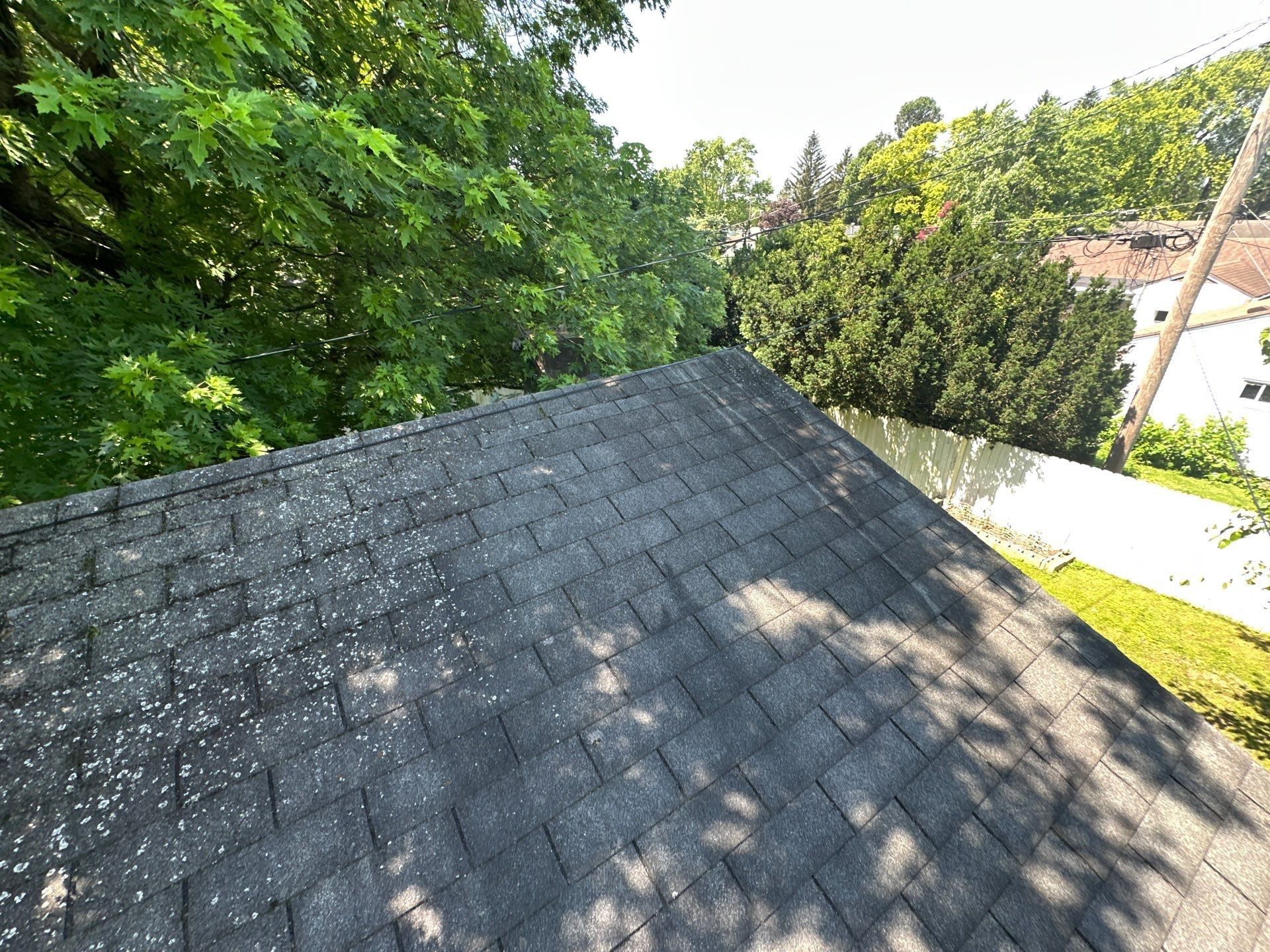 Old dark shingles and privacy fence