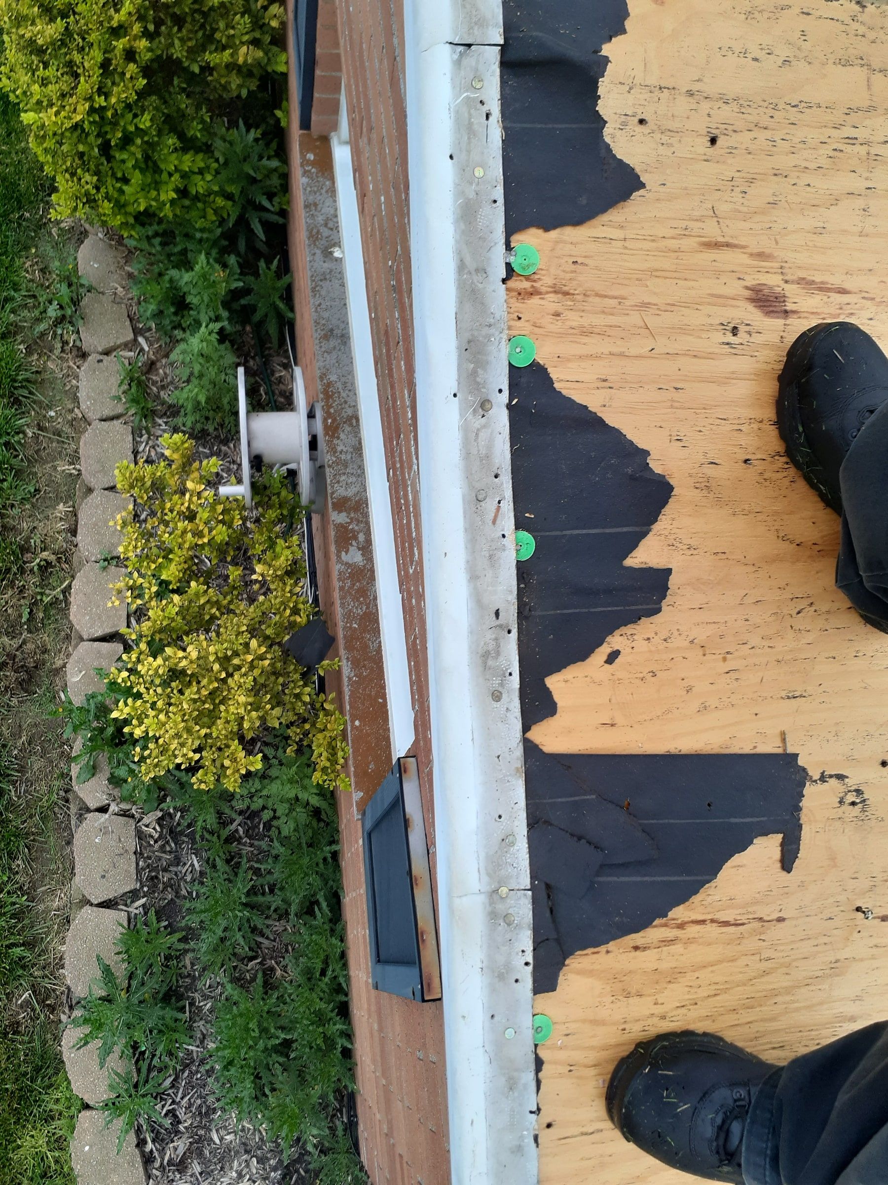 The bare plywood deck at the eave after tear-off, with scraps of old underlayment, Huber Heights, Ohio.