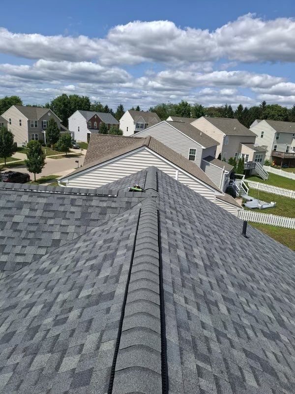 Roof and the subdivision beyond