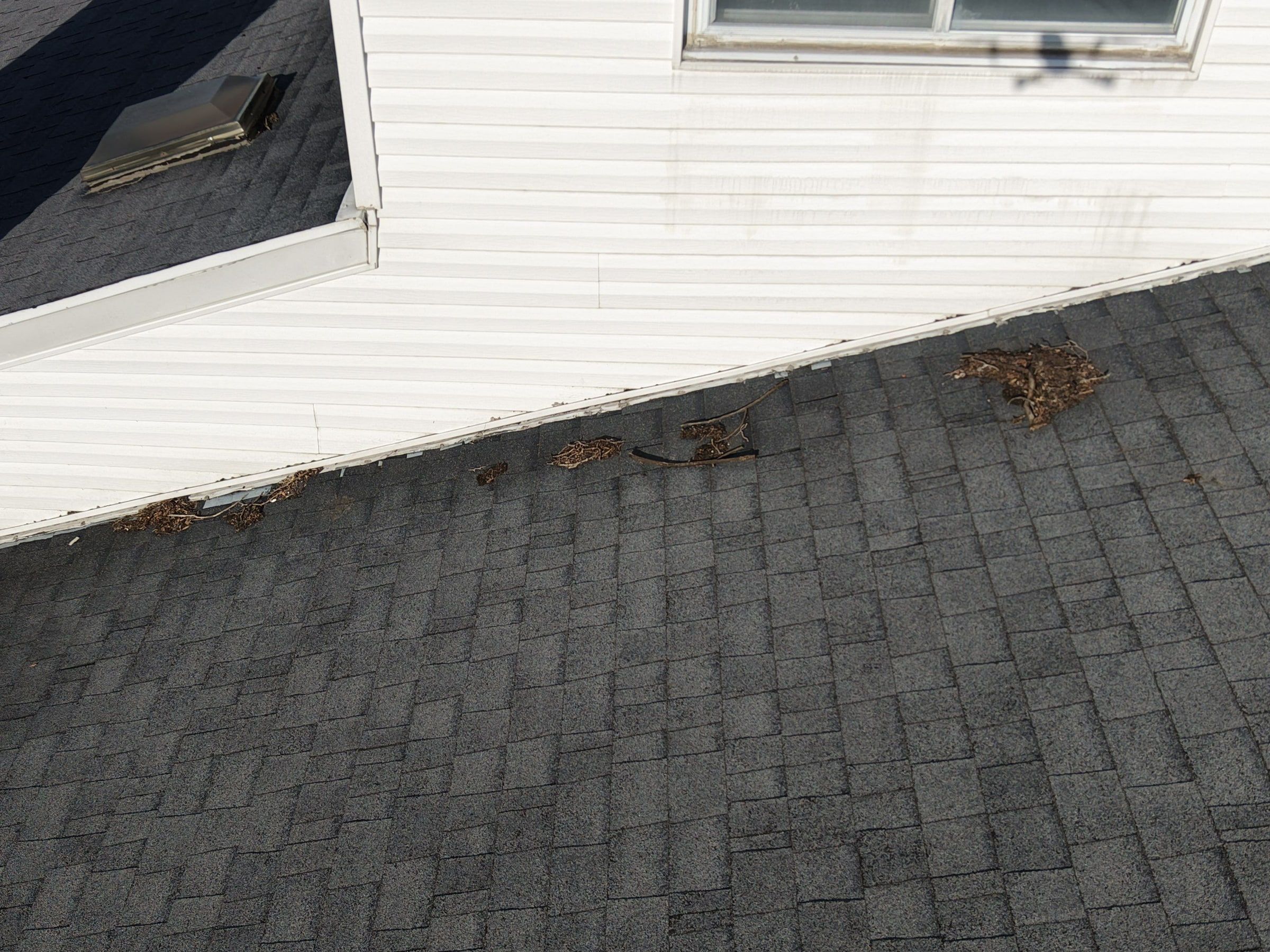 Lower roof, upper siding and gutter