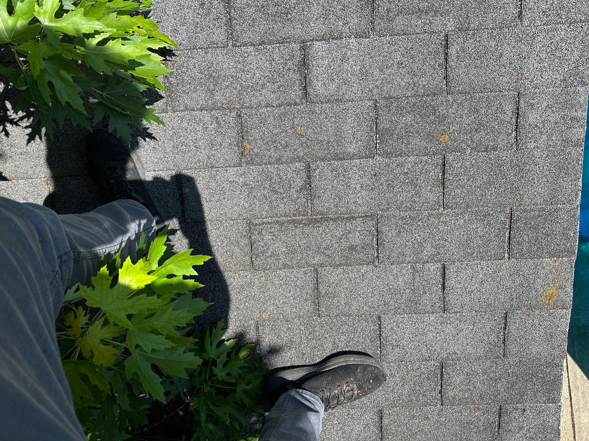 Creased three-tab shingles on the garage roof, Dayton, Ohio.