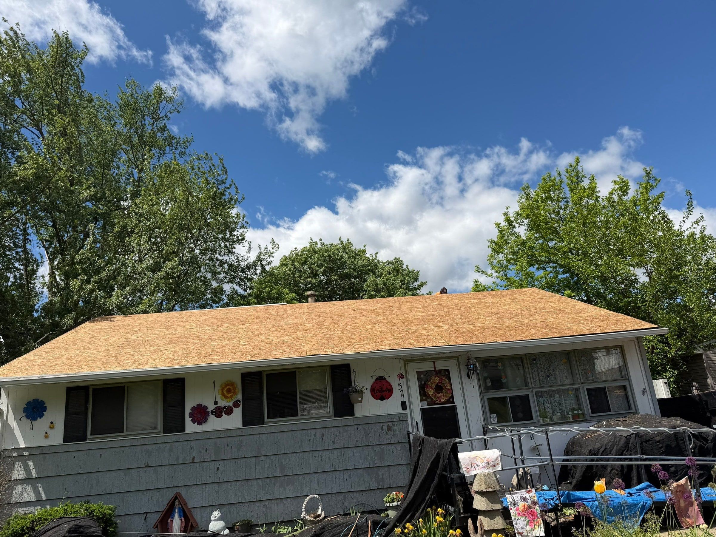 The house with its whole roof resheeted in new OSB, seen from the front lawn, Dayton, Ohio.