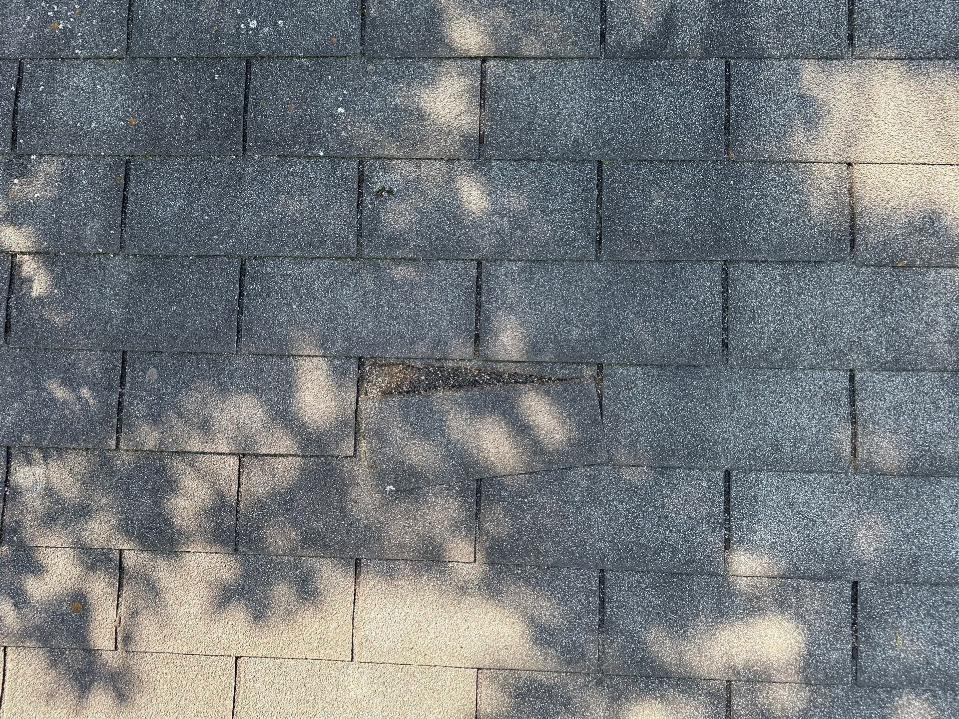 Wind-creased shingles on the garage roof in tree shade, Dayton, Ohio.
