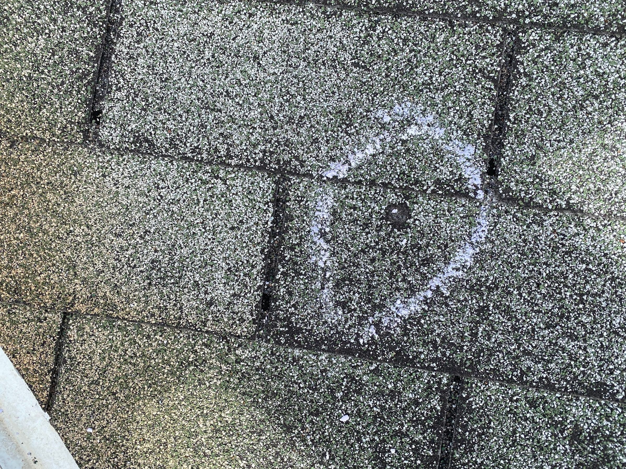 A large chalk circle around a hail hit with granules knocked loose, Kettering, Ohio.