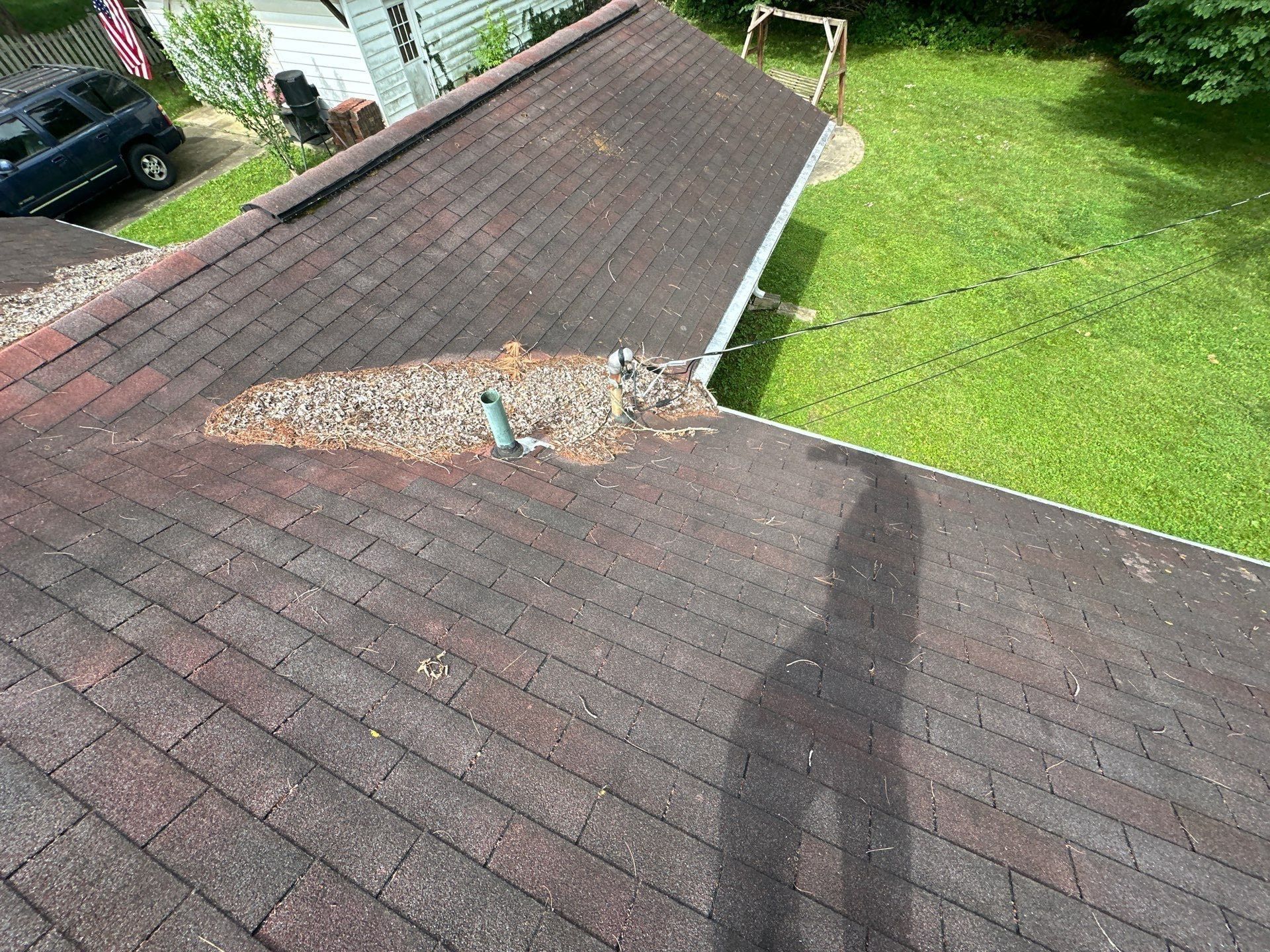 Debris built up in the valley of the old house roof, Beavercreek, Ohio.