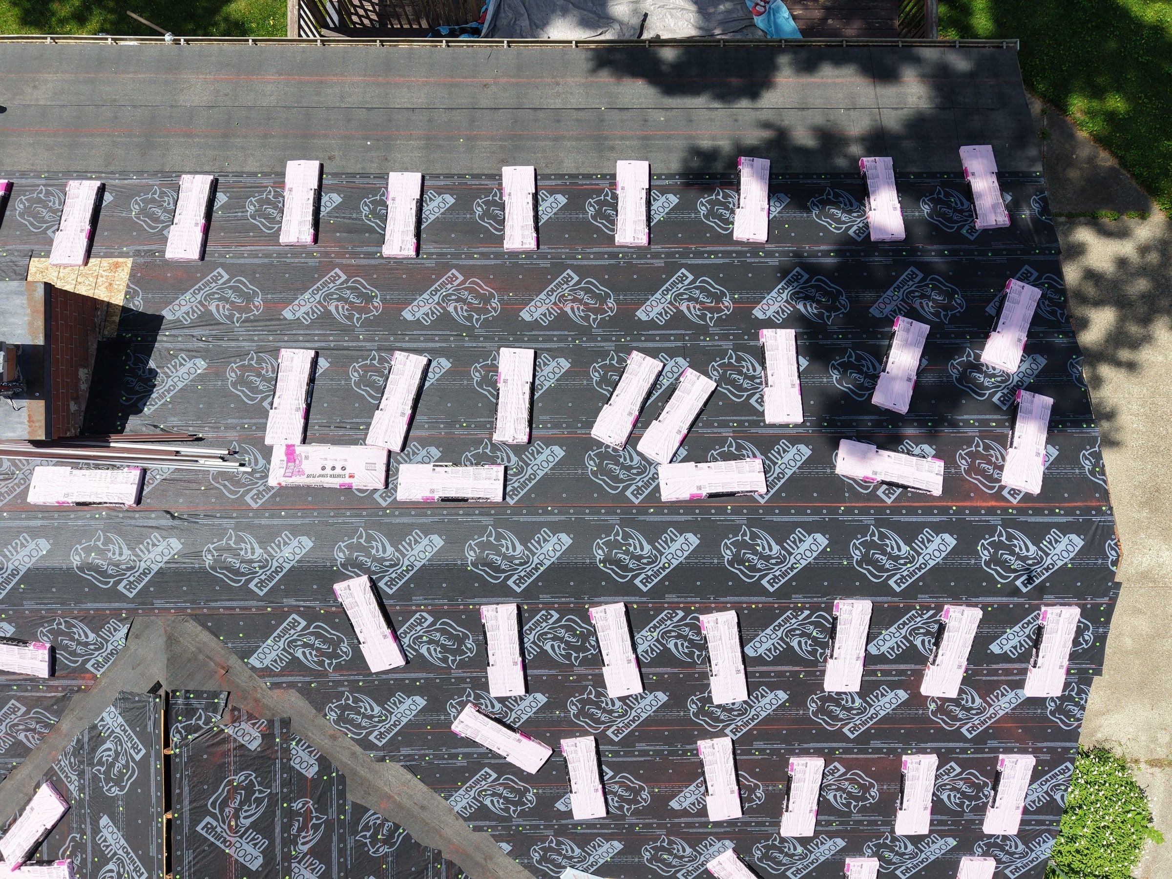 Roof in RhinoRoof from above, chalk lines