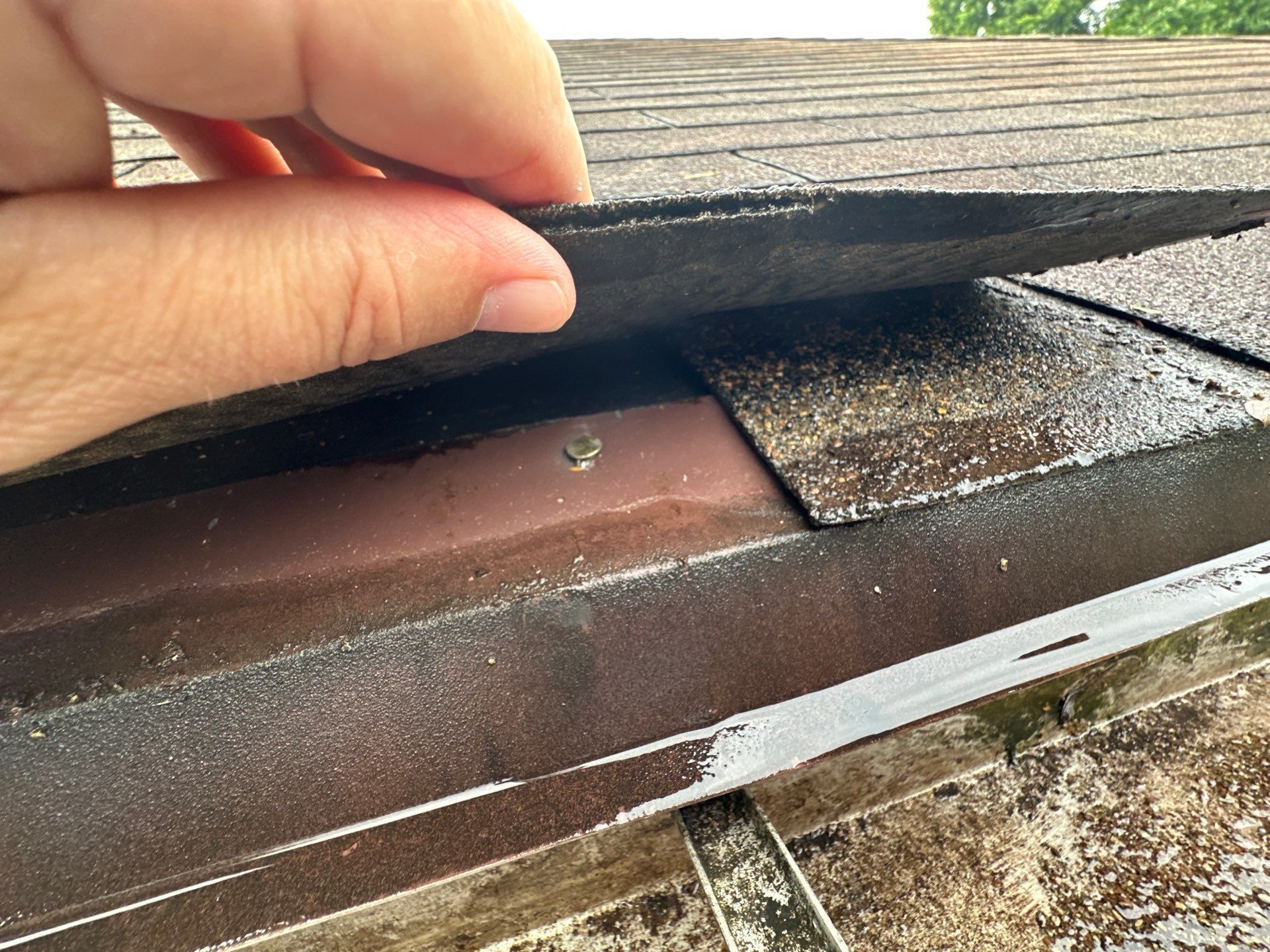 Loose shingle lifted by hand at the roof edge where it no longer sealed down, Beavercreek, Ohio.
