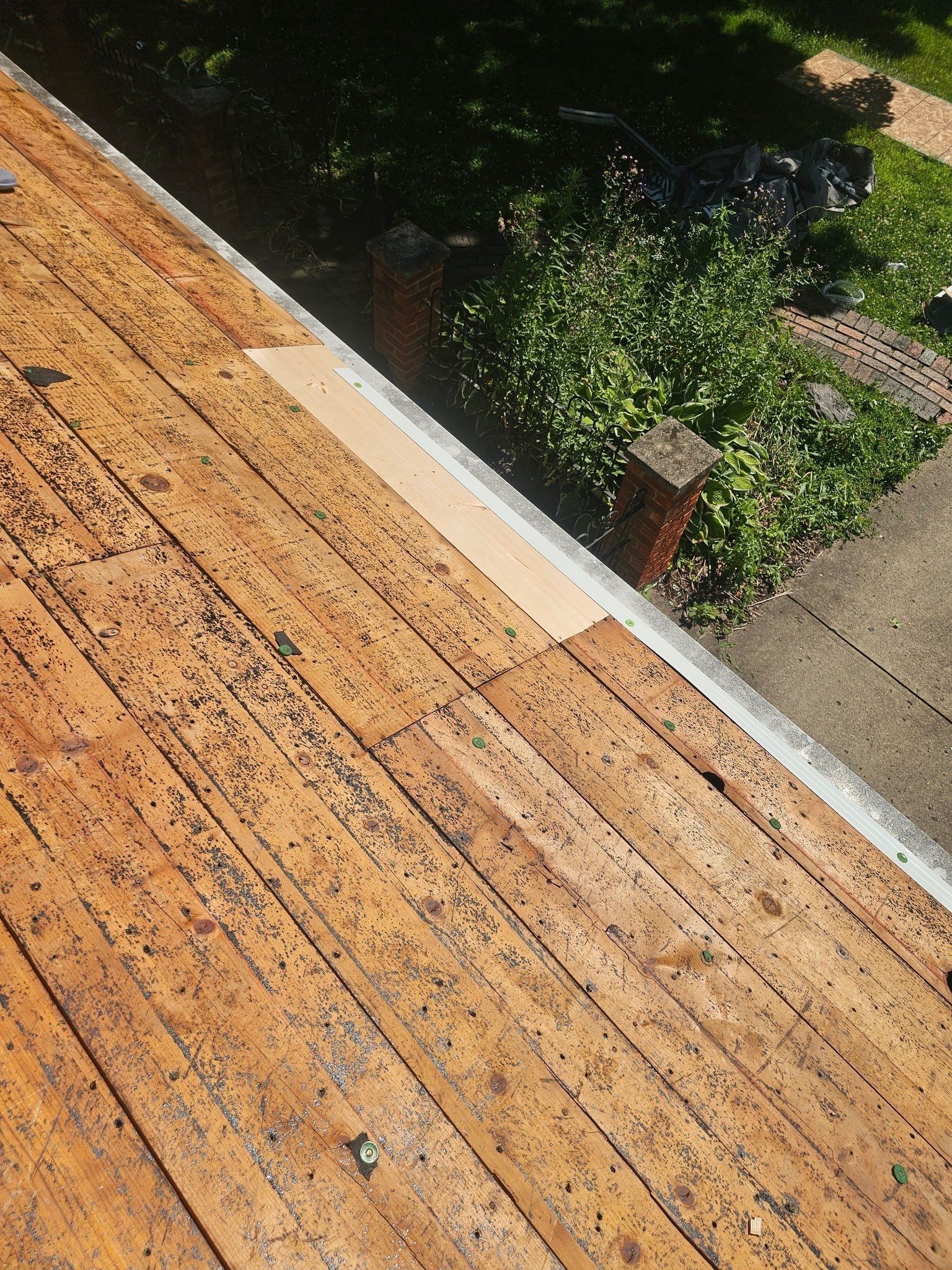 New board among the old planks