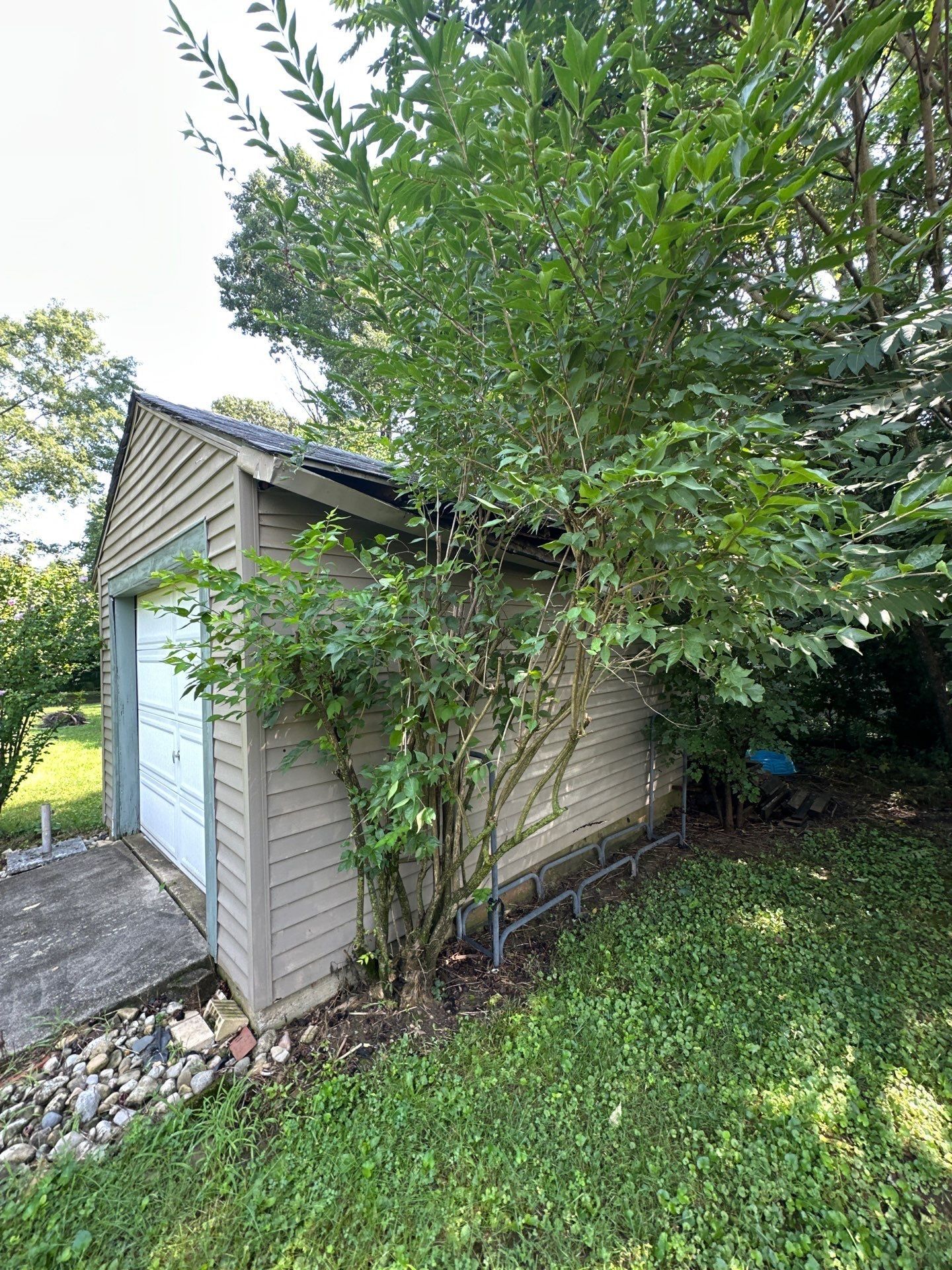 The side of the detached garage, overgrown with brush, Beavercreek, Ohio.