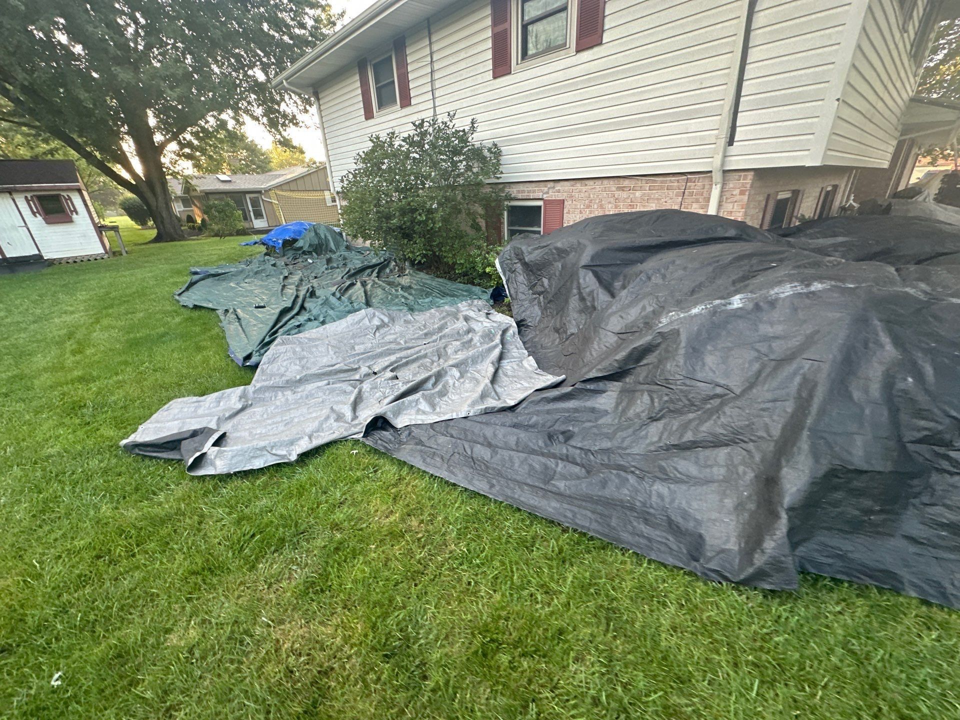 Layered tarps over the side yard shrubs, looking toward the back of the house, Dayton, Ohio.