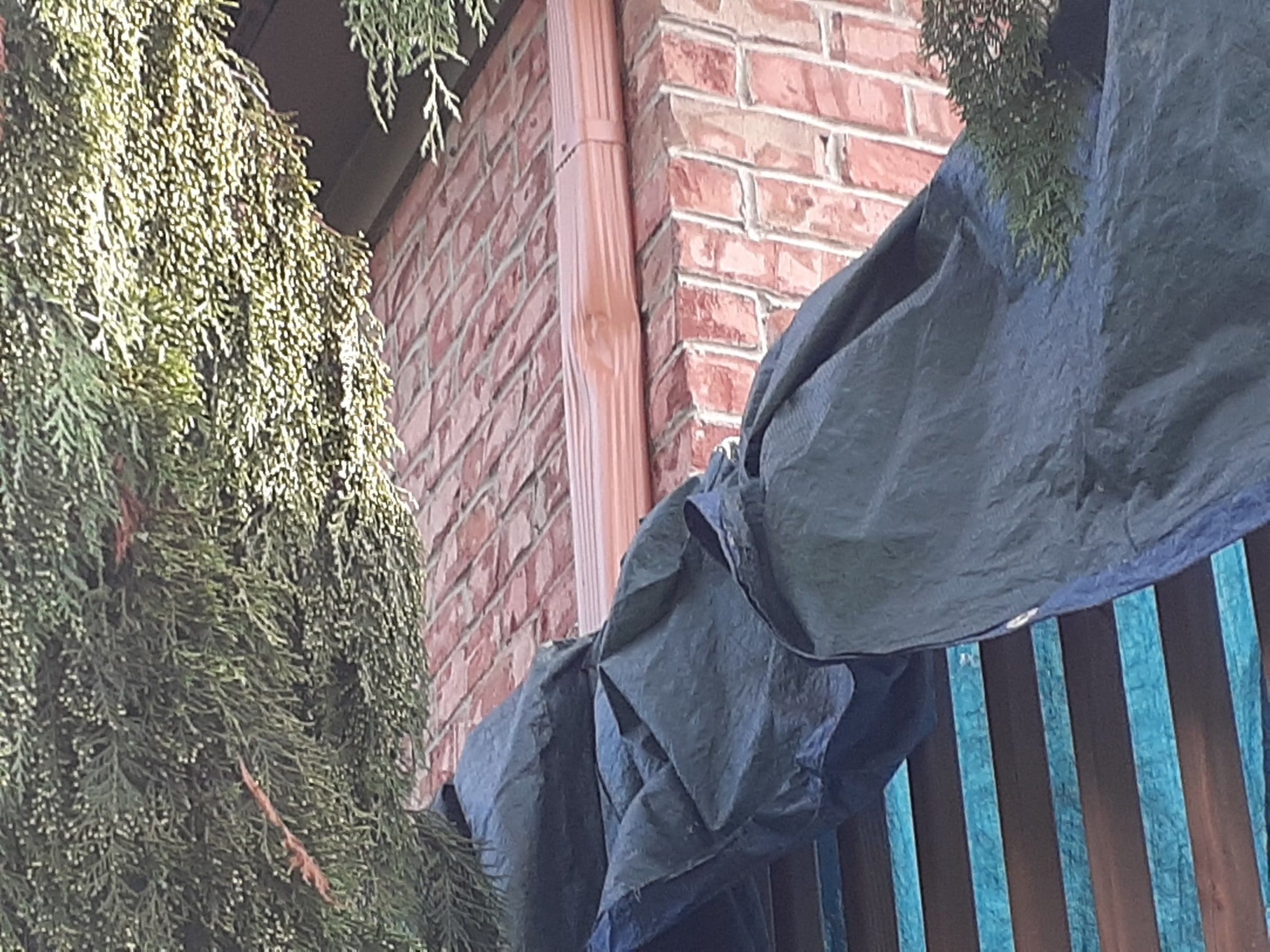 Tarp over the deck rail