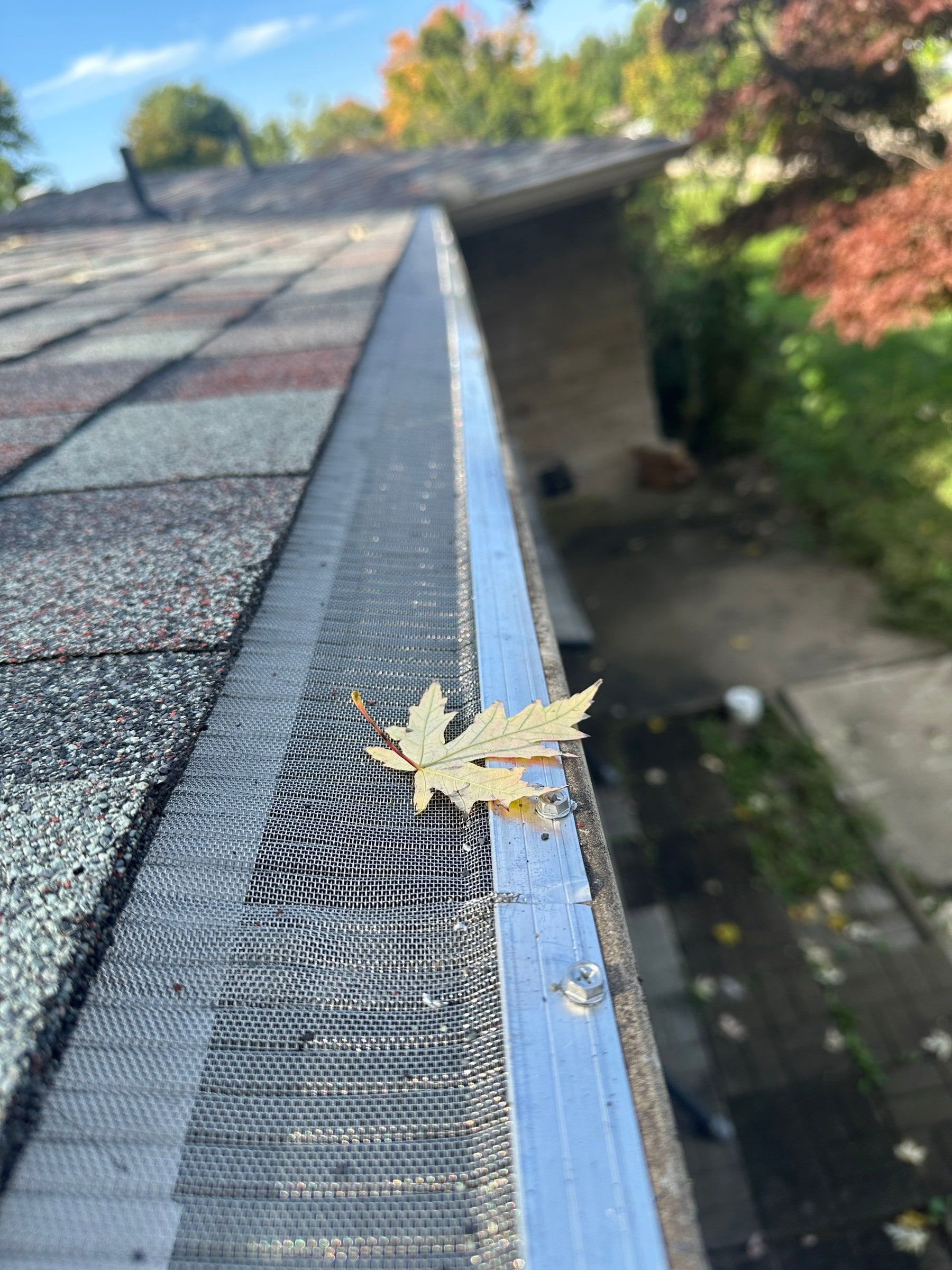 A leaf resting on the mesh gutter guard on Brubaker Dr, Kettering