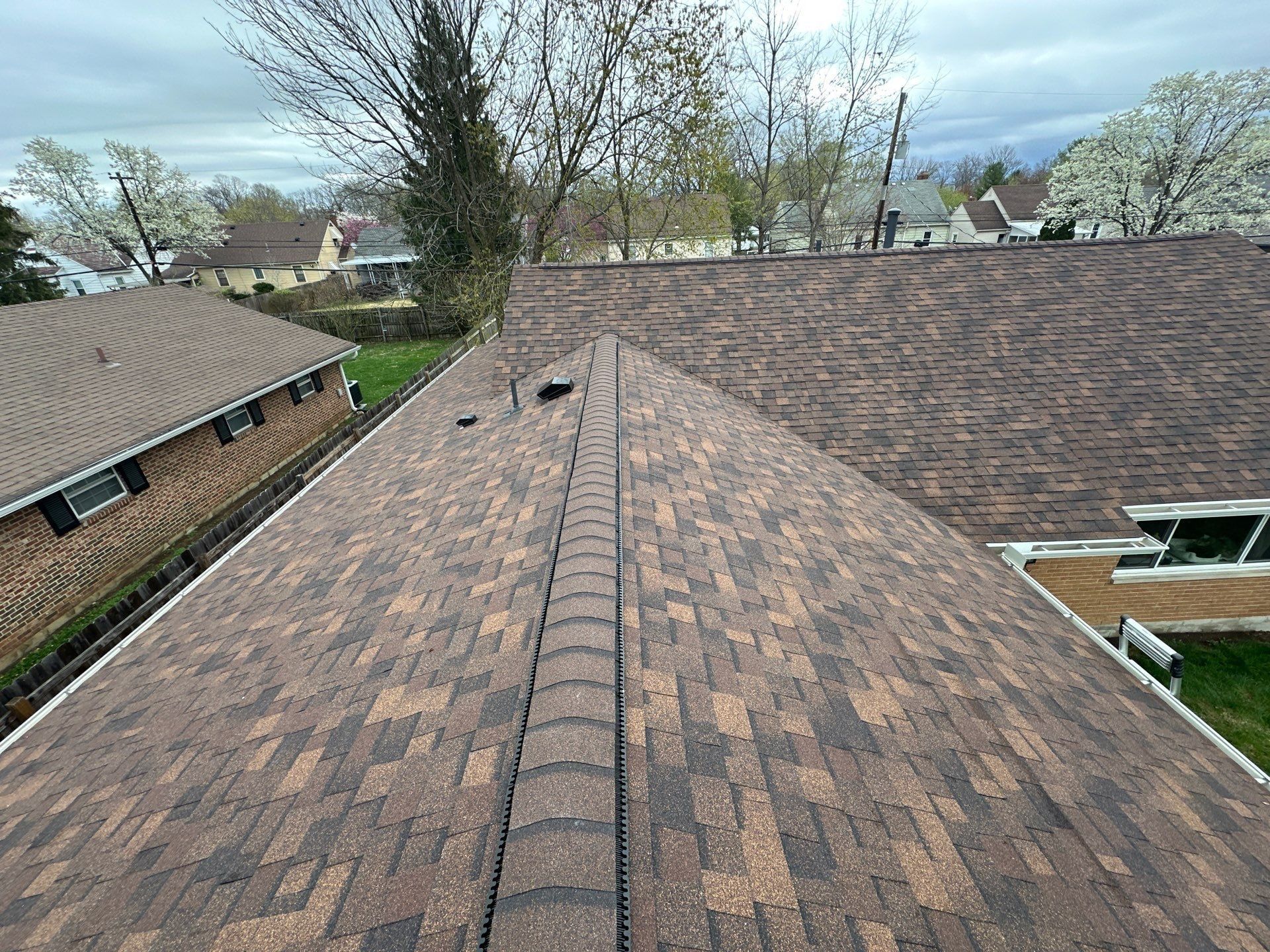 Roof up to the ridge from the eave