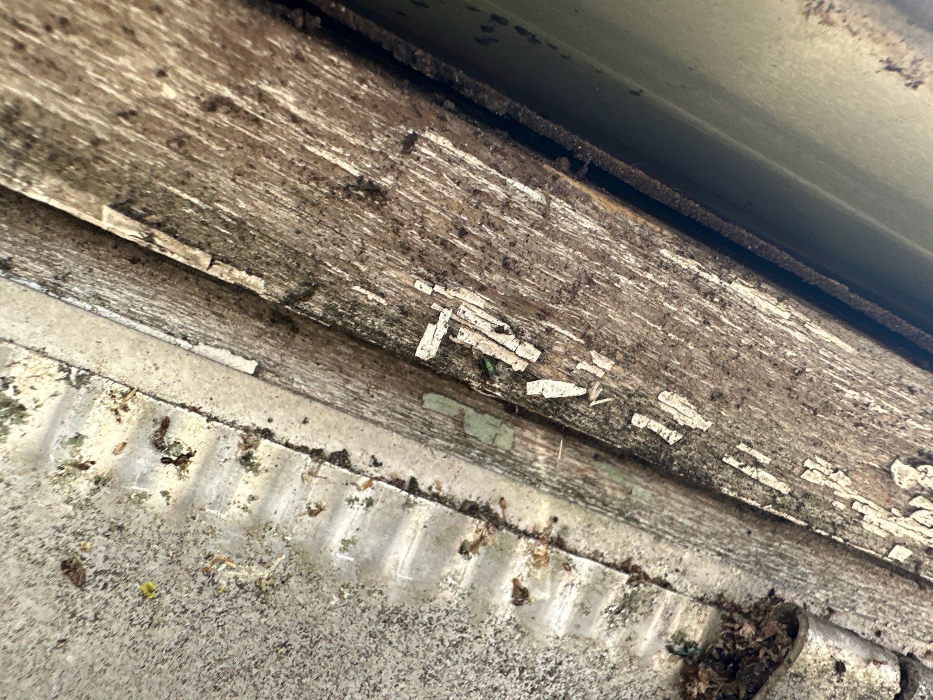 Painted board behind the gutter line