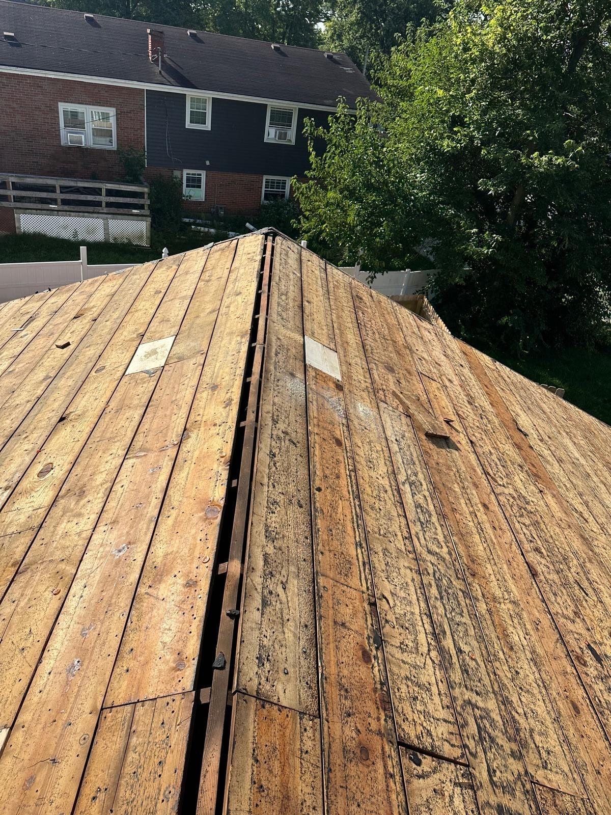 The board deck along a hip, with two lighter patches, Fairborn, Ohio.