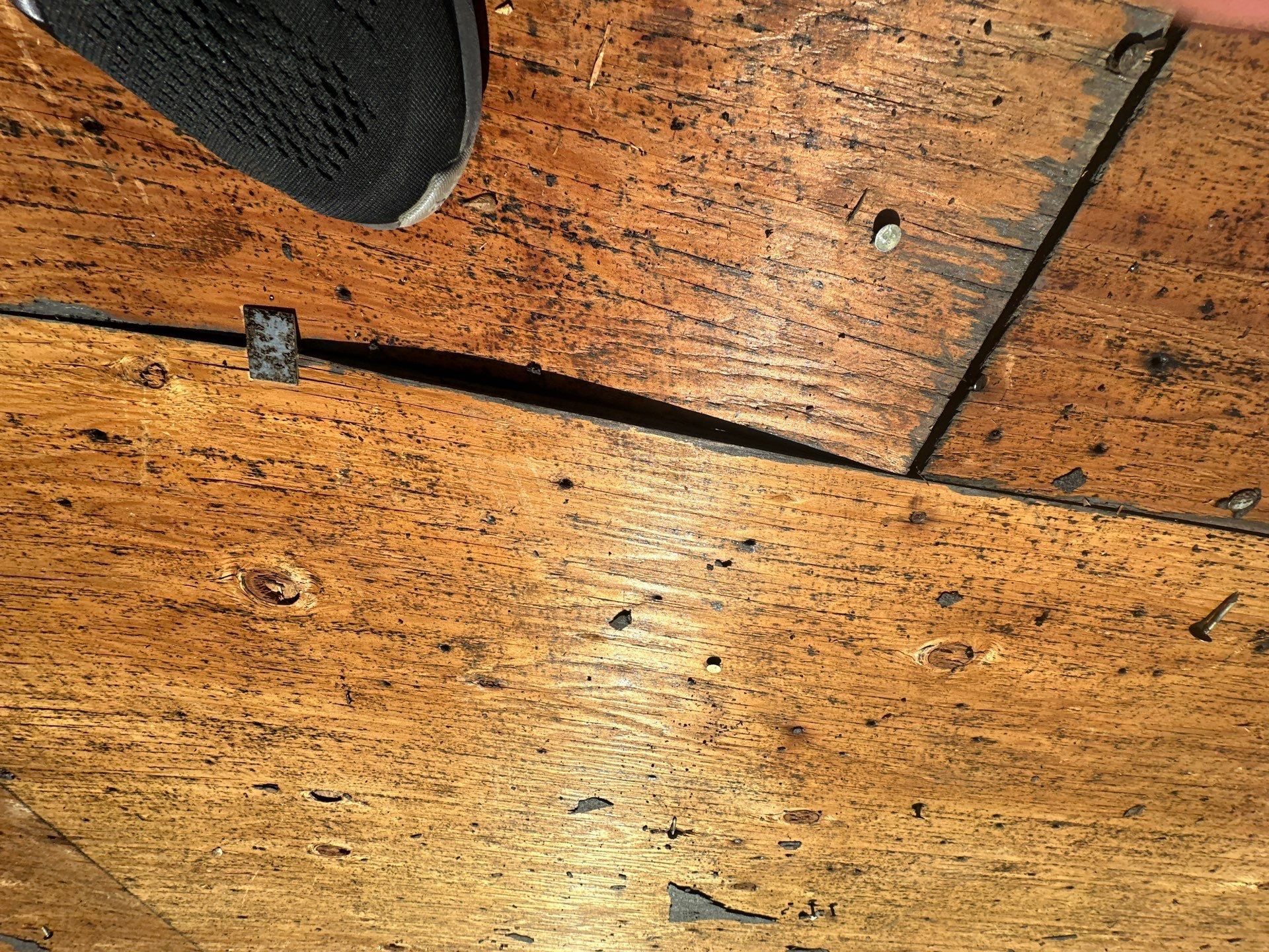 A cracked edge of the old plywood deck, close up, Beavercreek, Ohio.