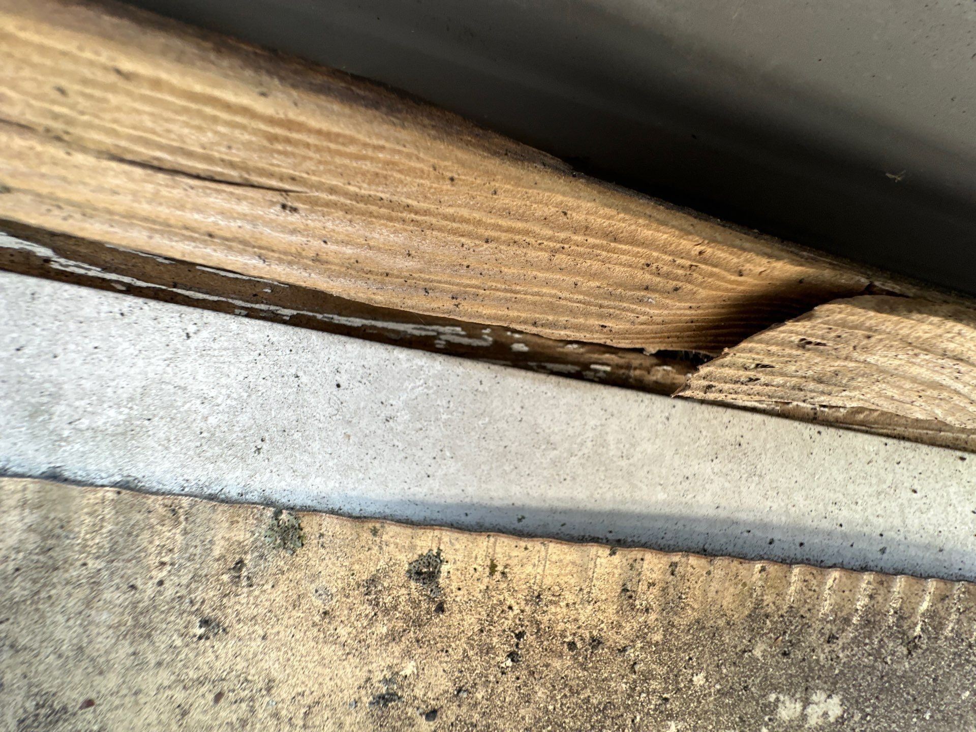 The soffit edge and roof sheathing up close, Xenia, Ohio.