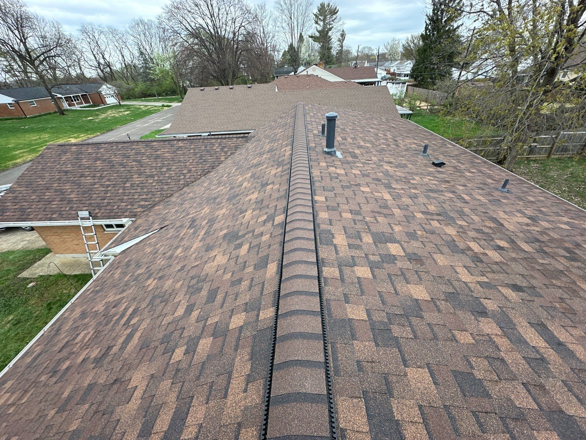 Roof and ridge from the peak