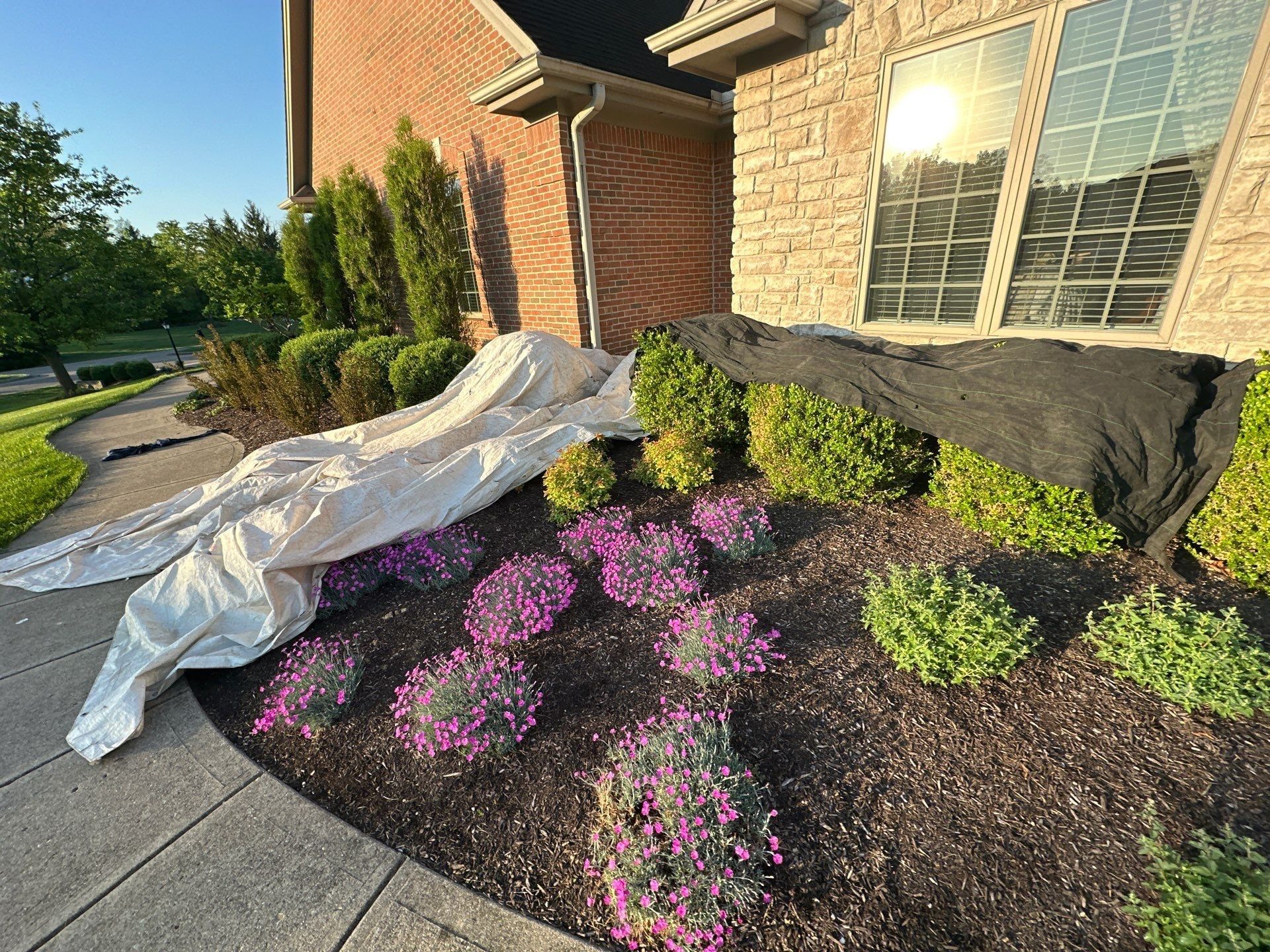 Tarp over the bed by the border
