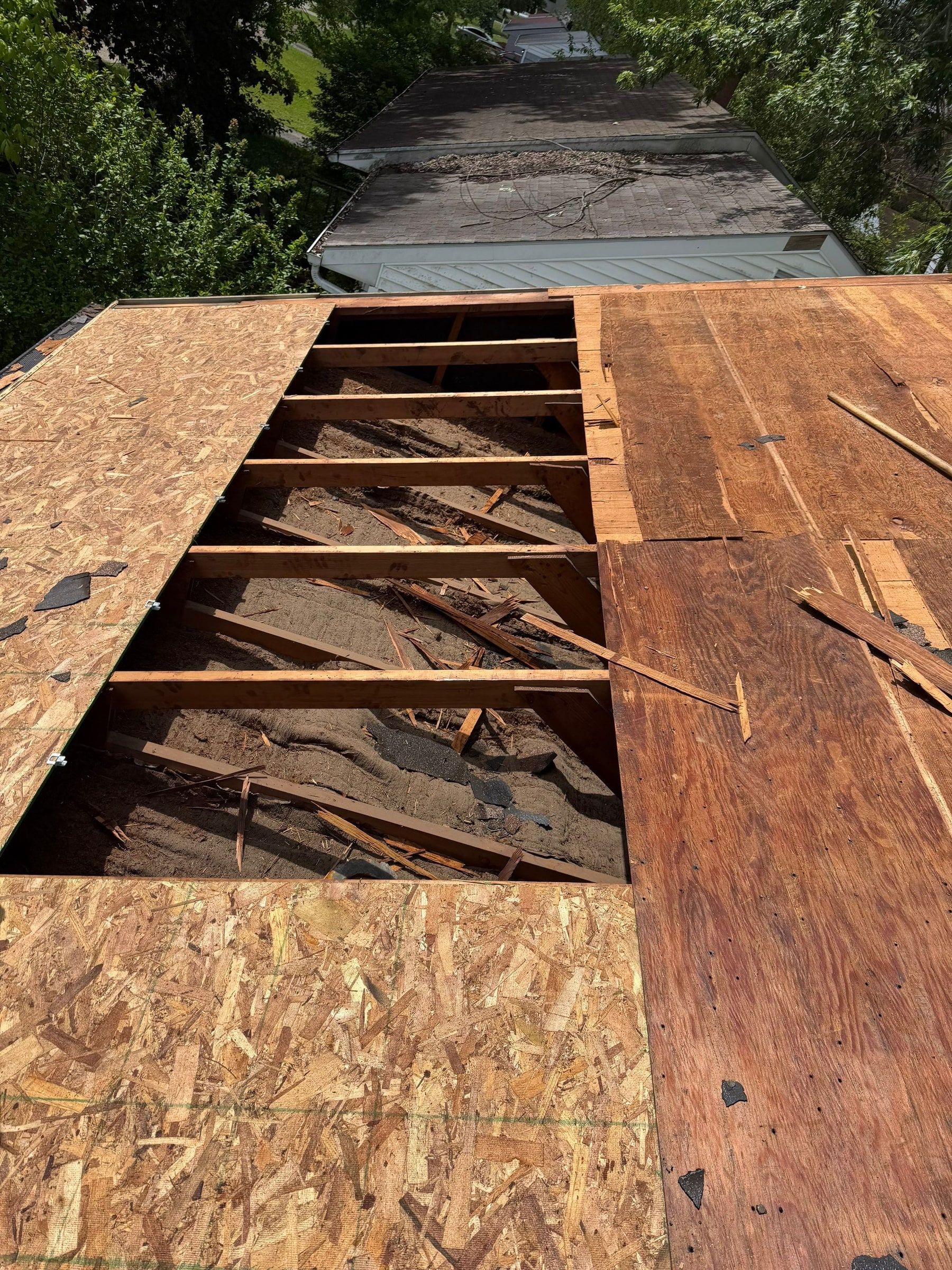 The rafters exposed where the old sheathing came off, between sheets of new OSB, Dayton, Ohio.