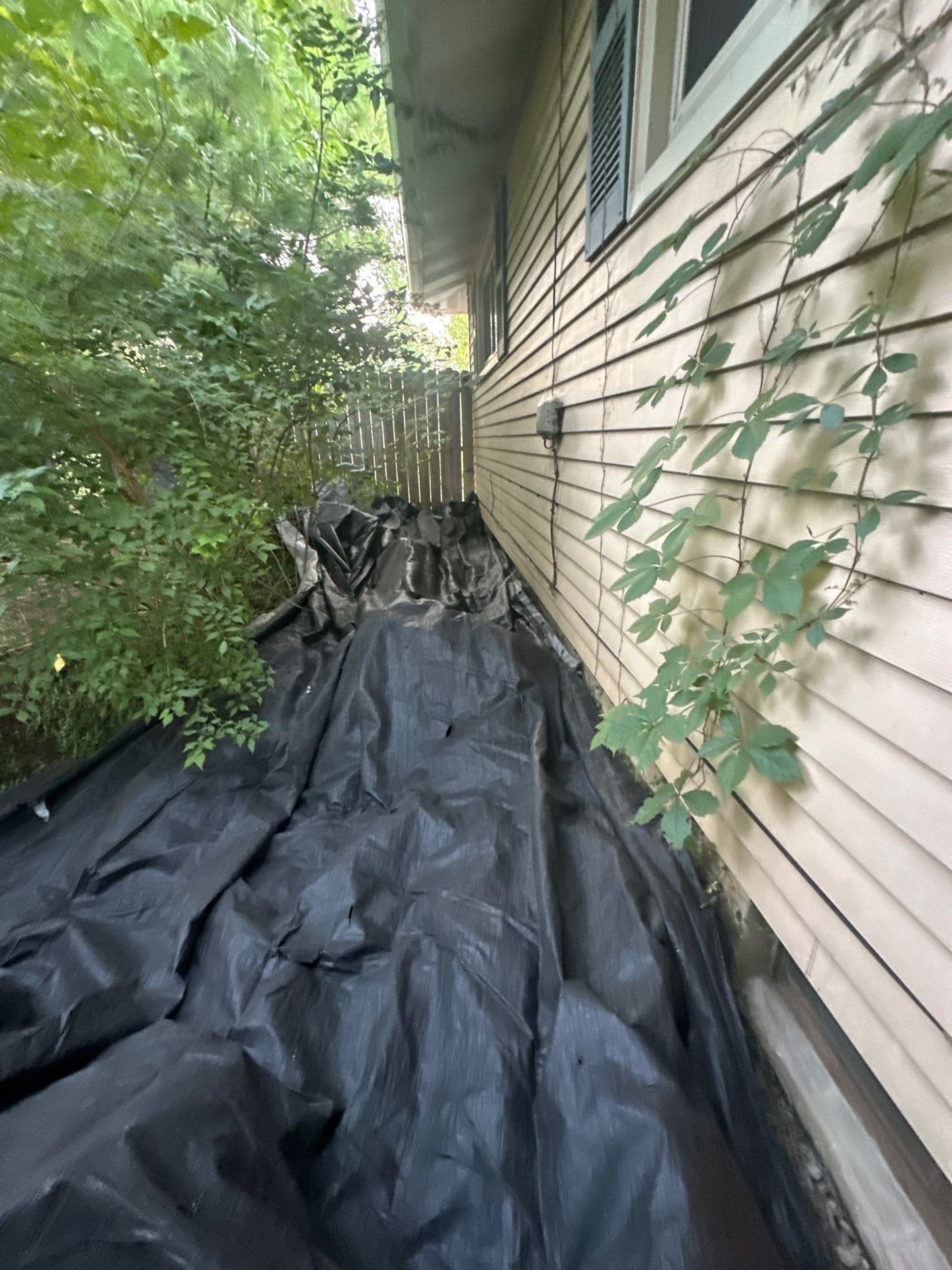 A black tarp laid down the narrow side yard beside the house, Fairborn, Ohio.