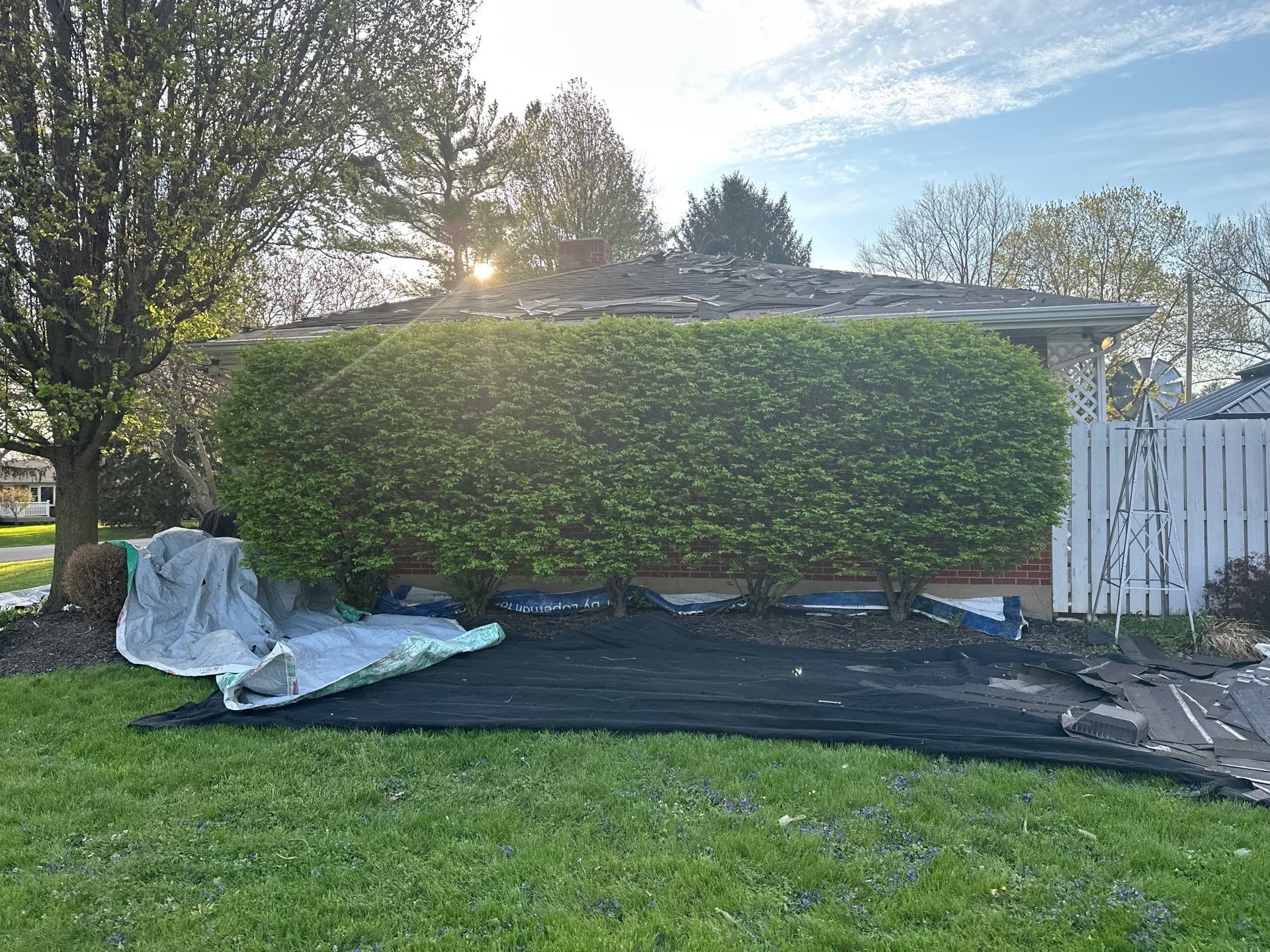 Tarps spread in front of the hedge to catch old shingles, Beavercreek, Ohio.