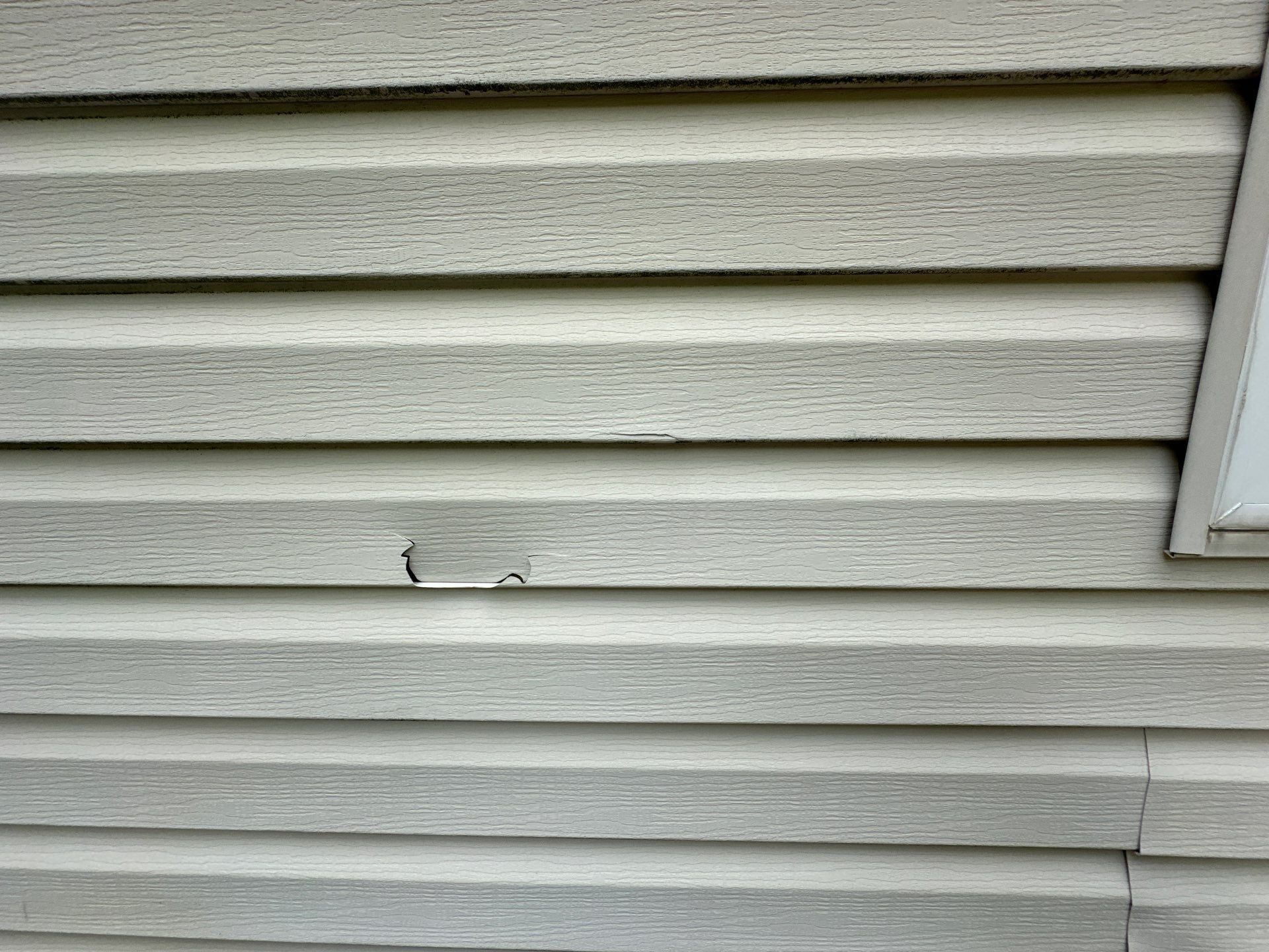 Tear in the siding beside window trim