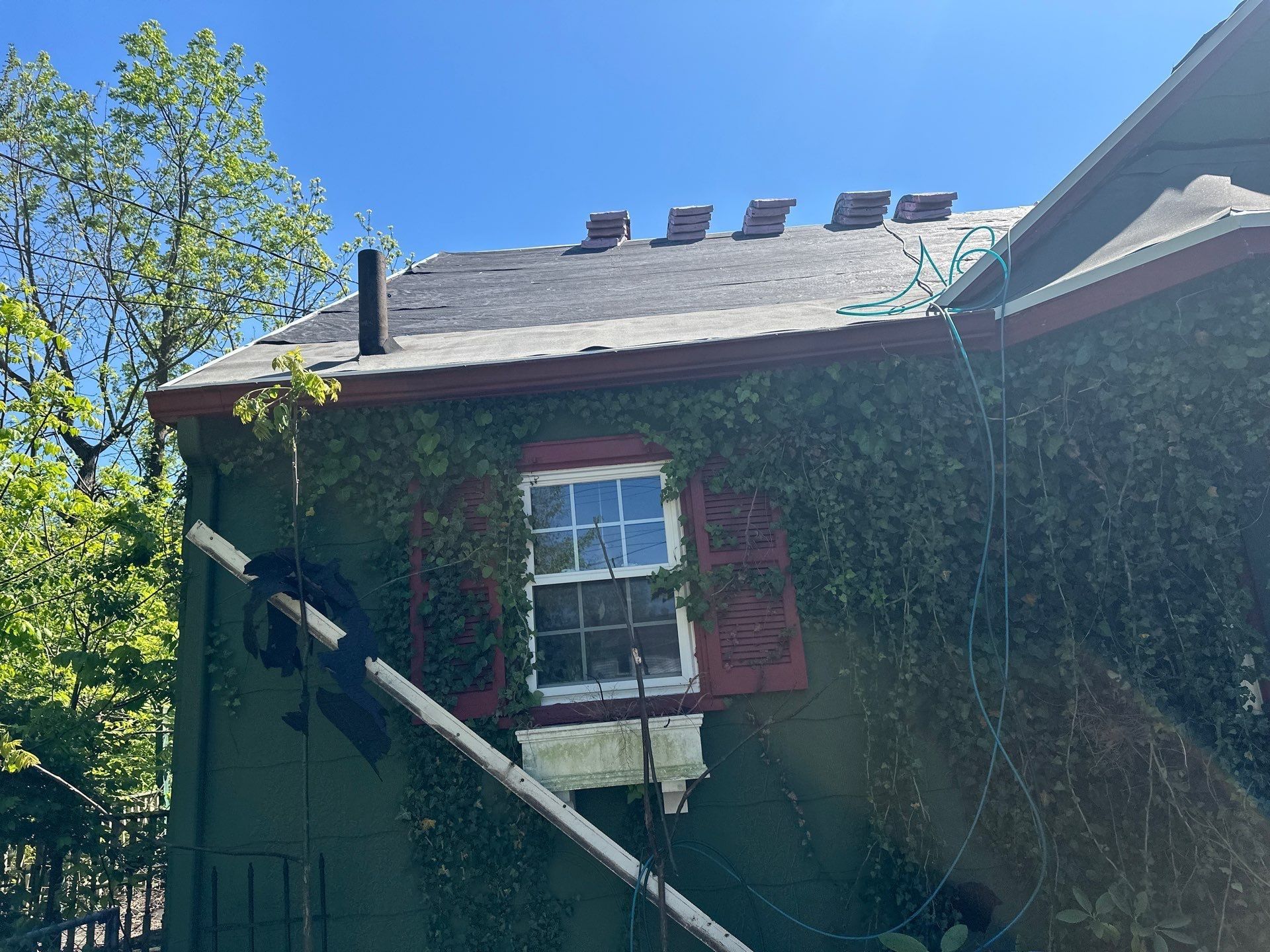 Cottage from the ground and ivy