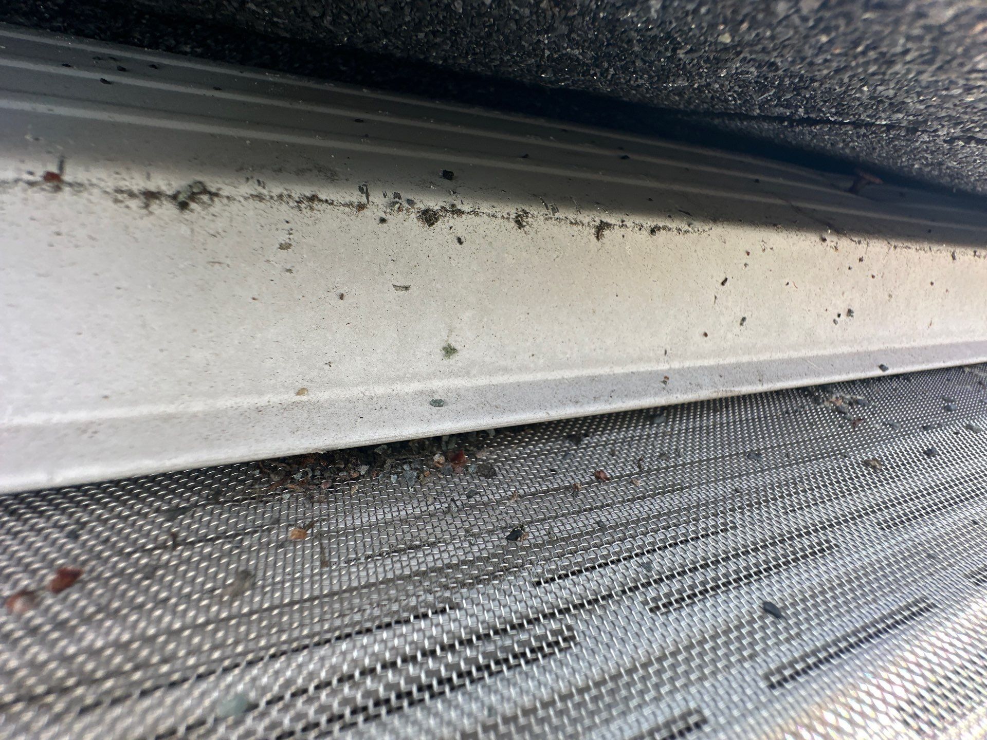 The lip of the old gutter with an existing mesh guard holding roof granules and debris.