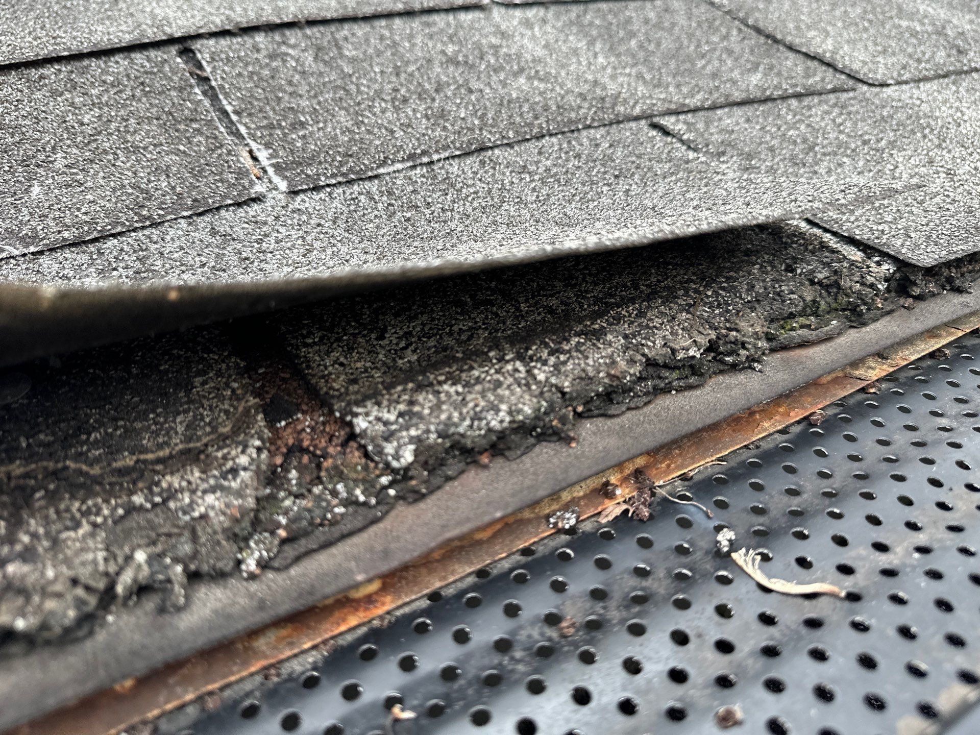 Old shingles curling over a rusted drip edge above the gutter, Dayton, Ohio.