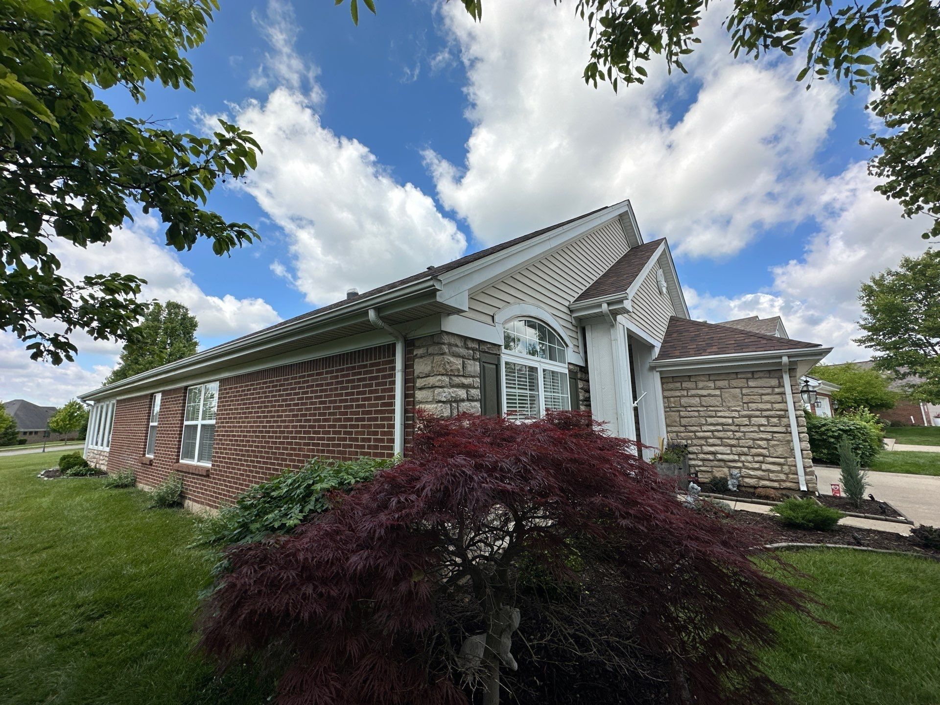 Front of the house and Japanese maple