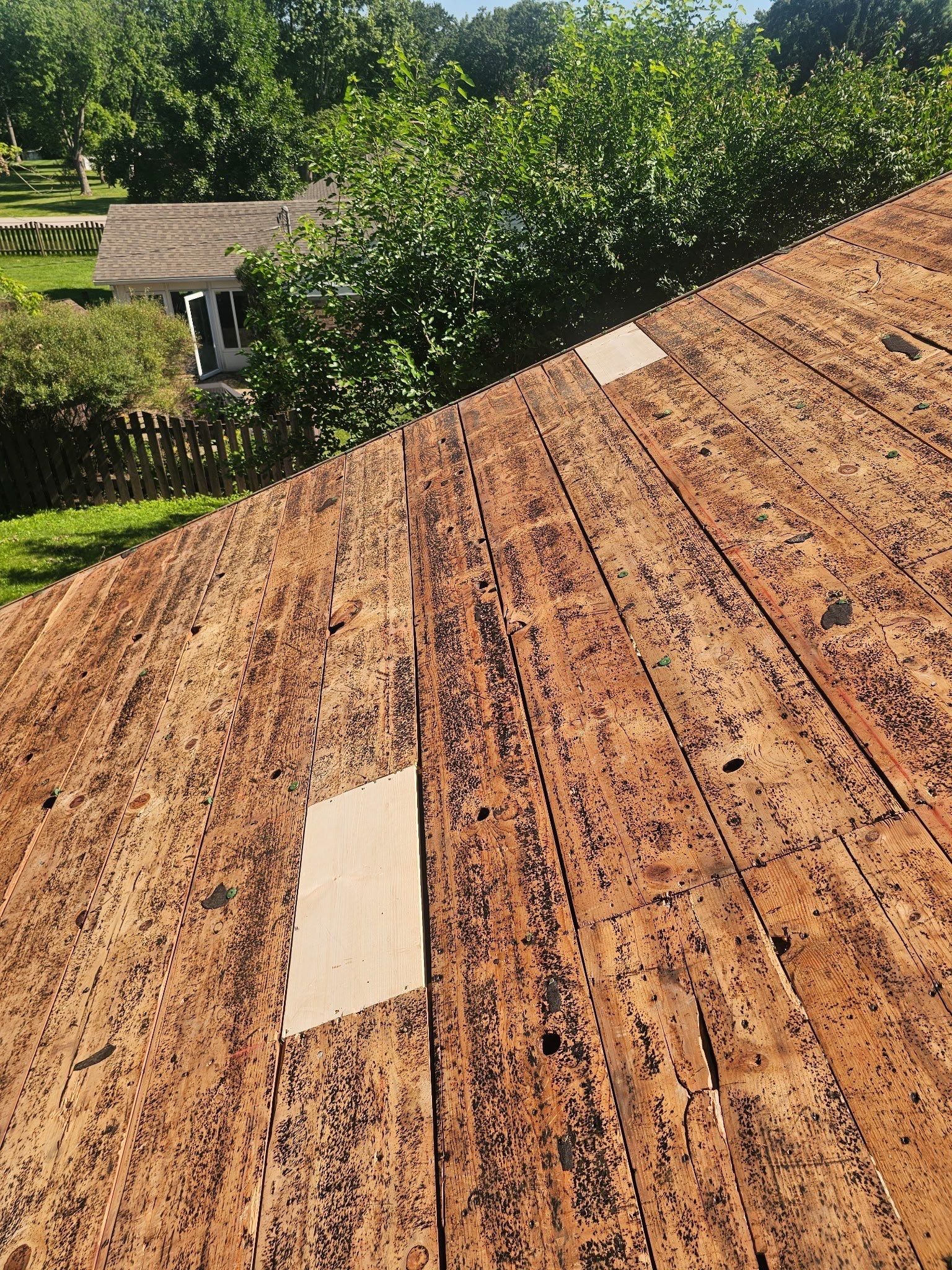 Two new boards and the picket fence