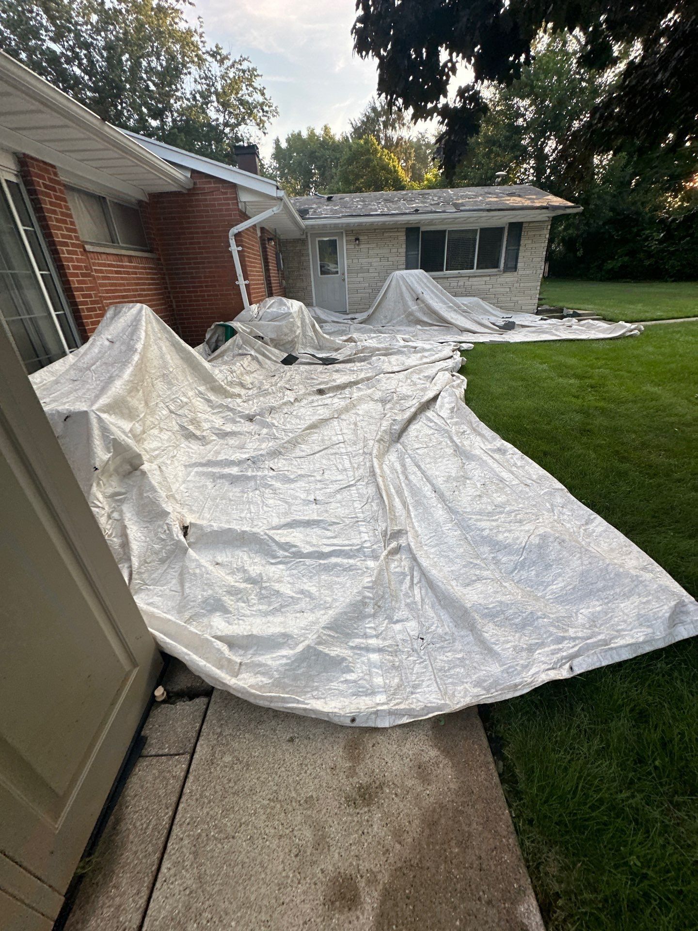White tarps over the walk and shrubs