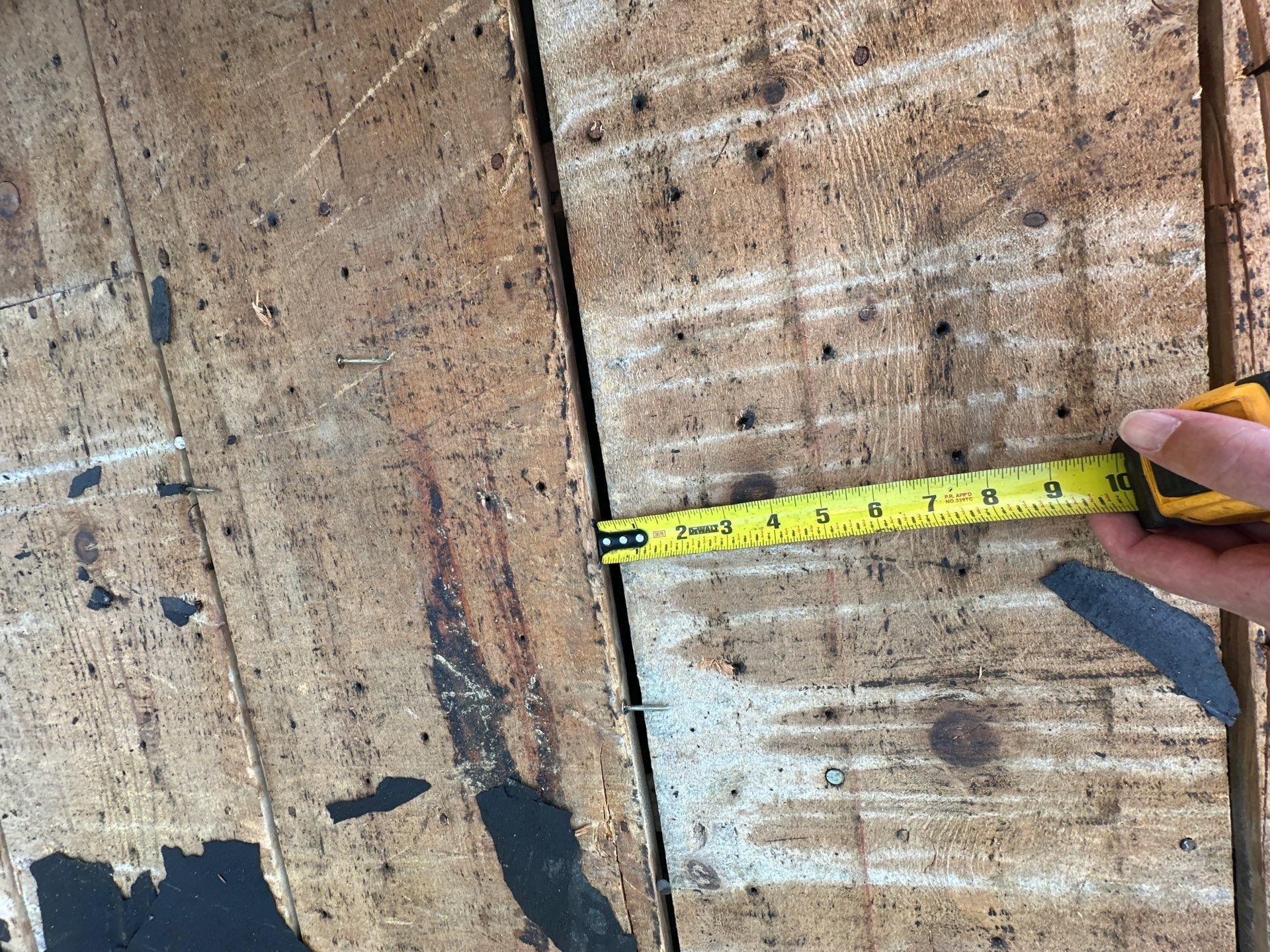 Tape measure across a gap between the old roof deck planks, Beavercreek, Ohio.