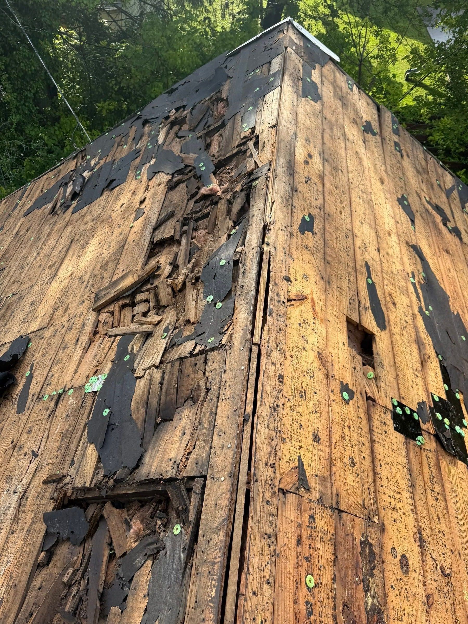 Splintered, rotted planks across the stripped roof, Springfield, Ohio.