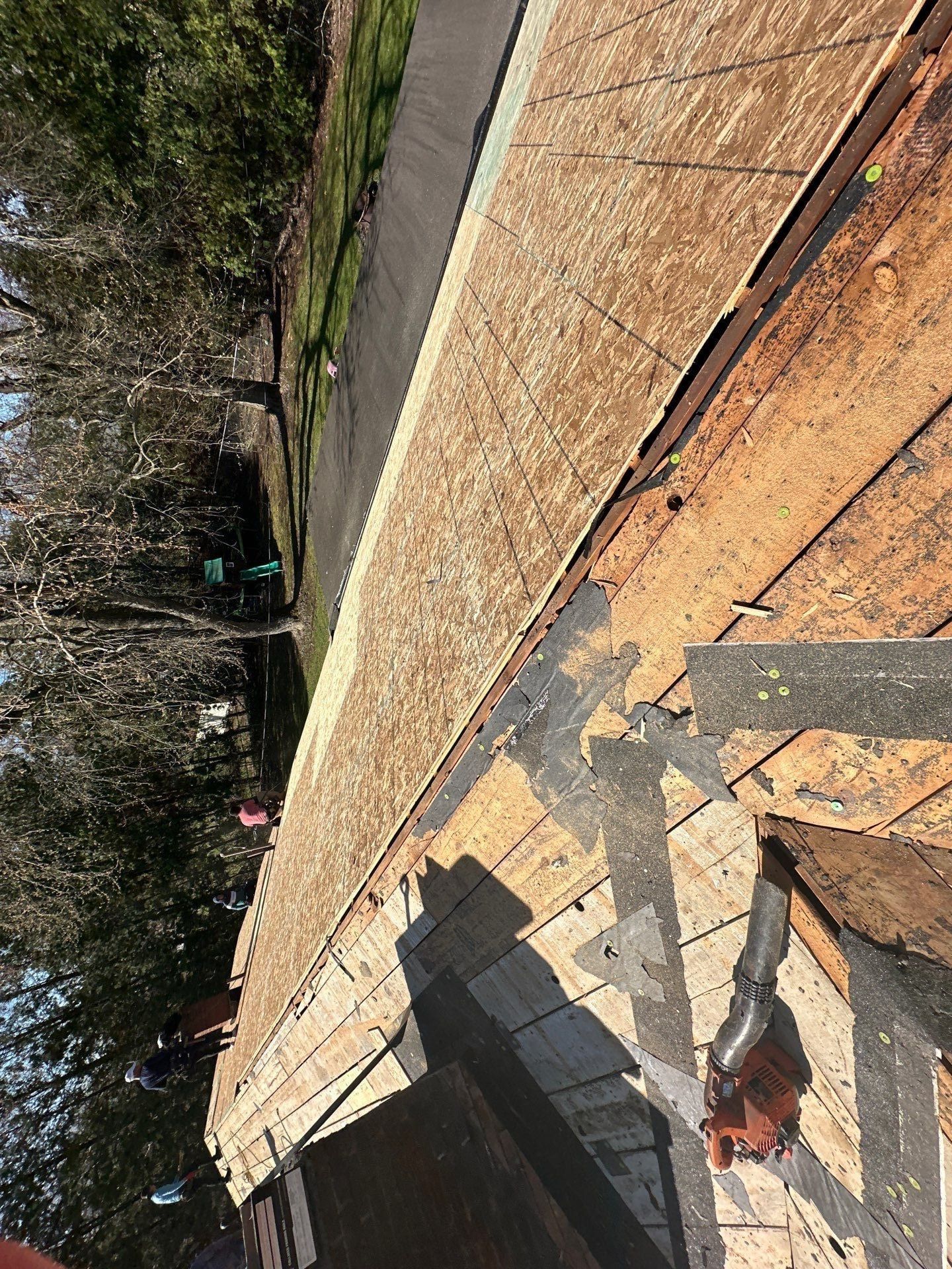 Sheathing panels over the plank decking