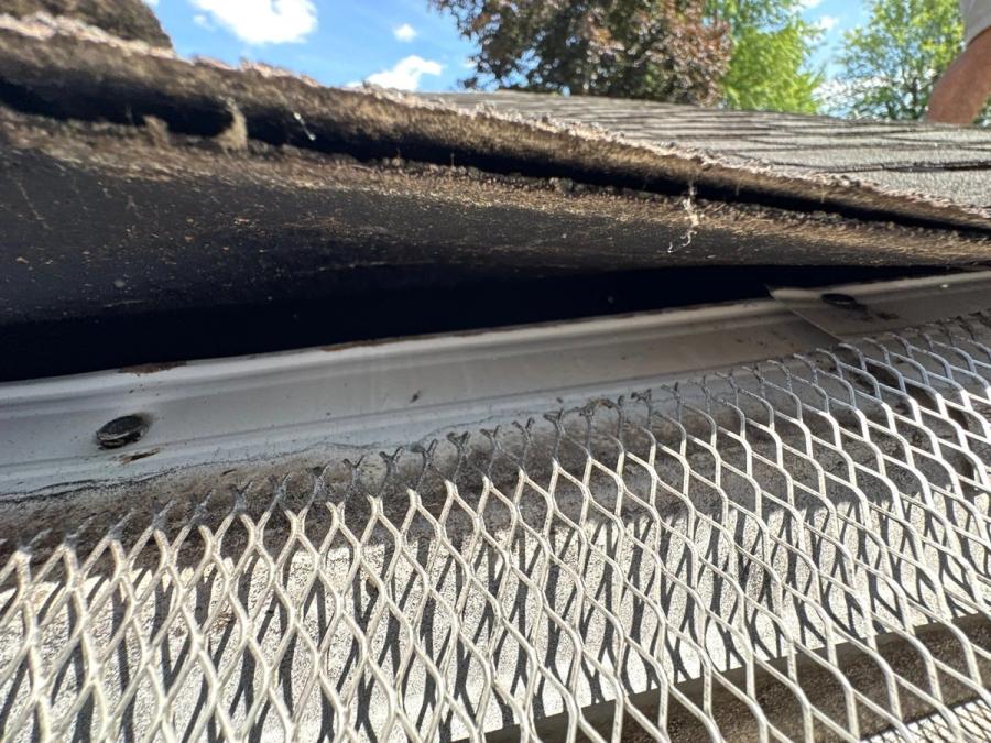 The existing gutter with a mesh guard fitted, packed with debris, photographed during the inspection.