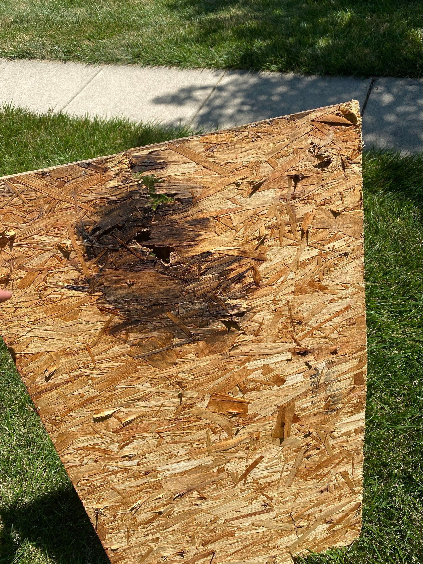 Damaged old deck board removed and laid on the lawn, Yellow Springs, Ohio.
