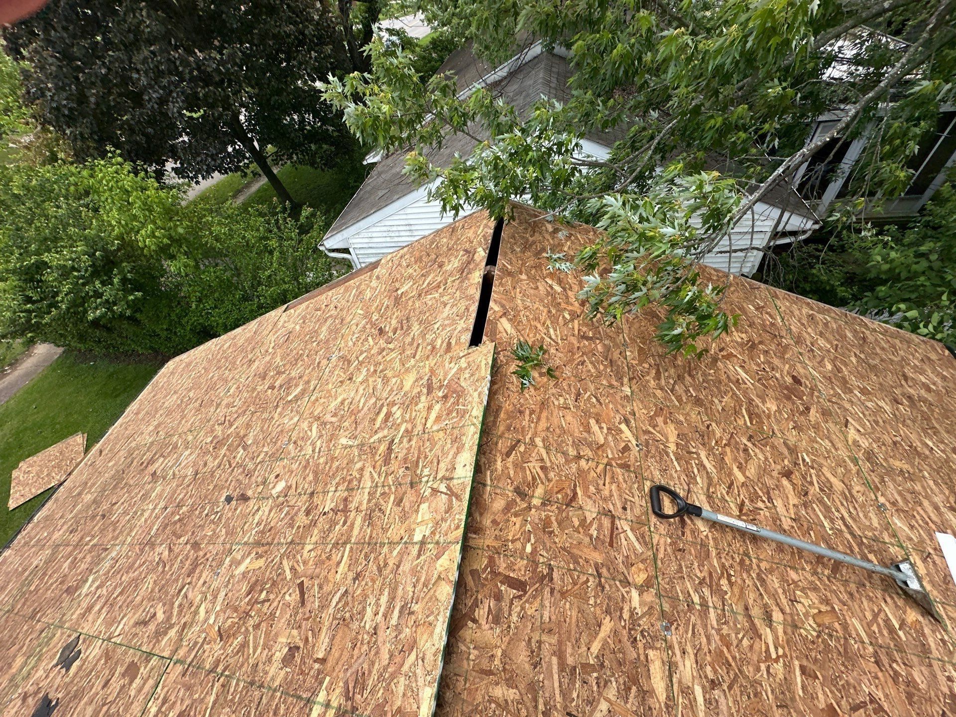 New OSB sheathing meeting at the ridge above the back yard, Dayton, Ohio.