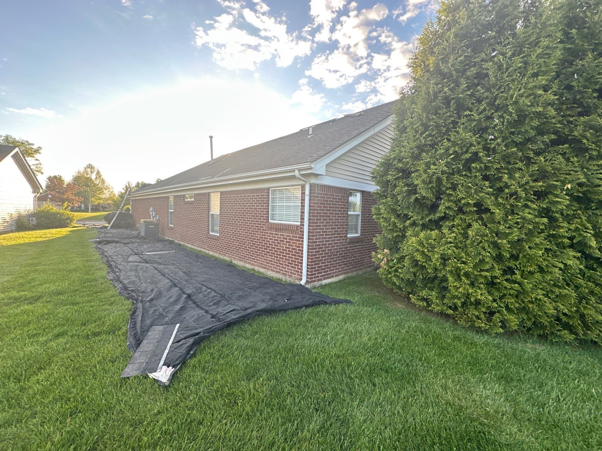 Ground tarps along the side, early morning