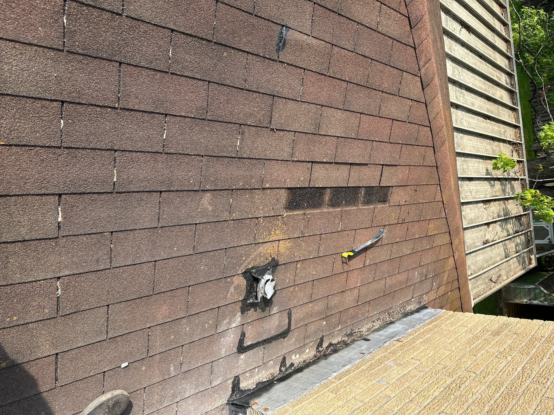 Row of torn shingles near the wall where wind stripped the tabs, Beavercreek, Ohio.
