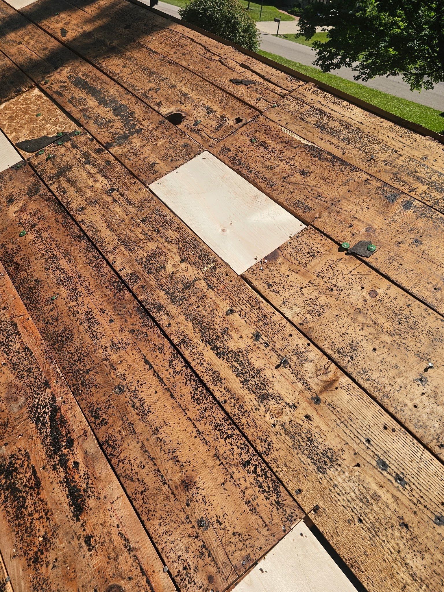 New board flush among the old planks