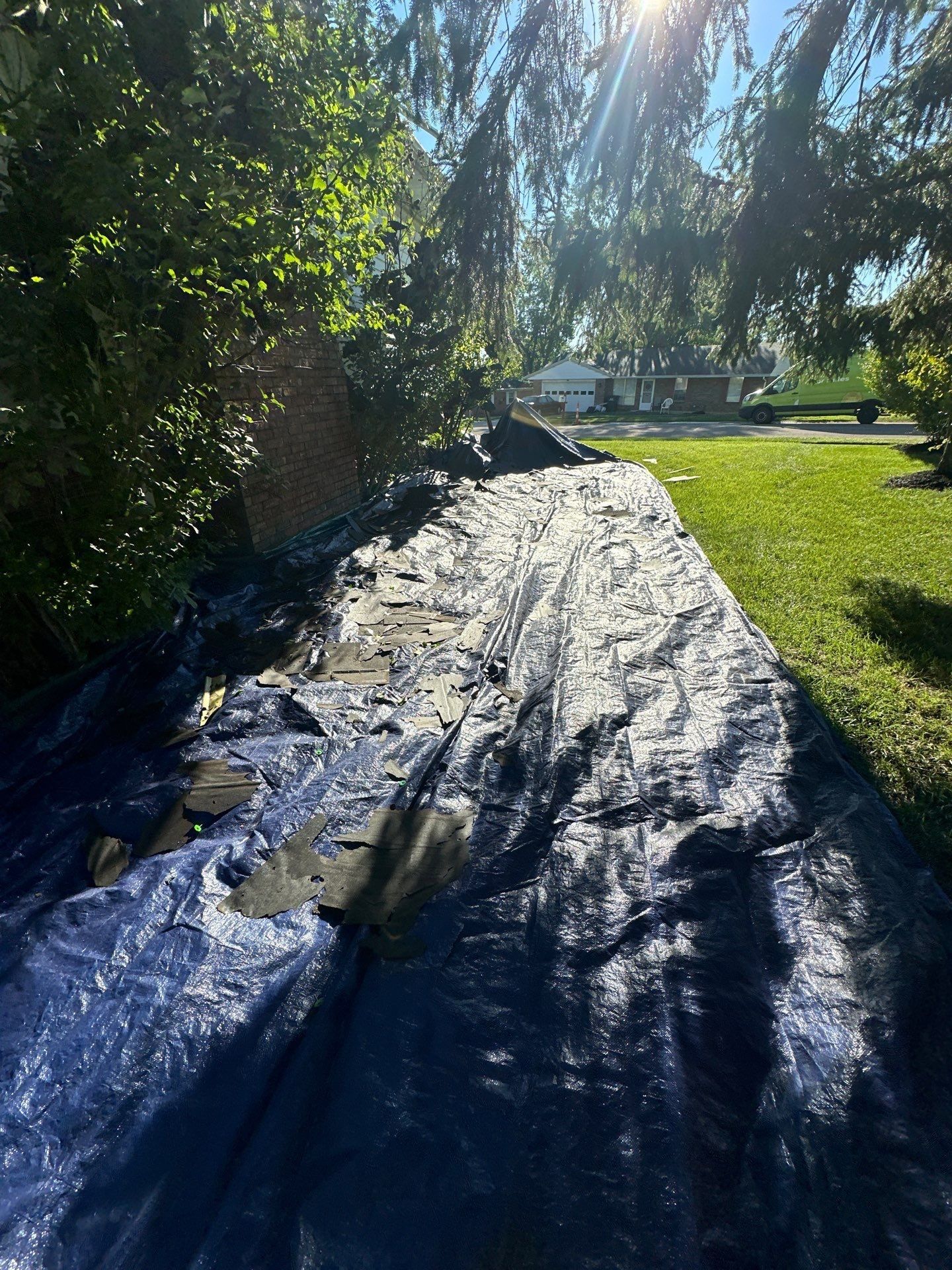 A long tarp down the side yard under the evergreens, West Carrollton, Ohio.
