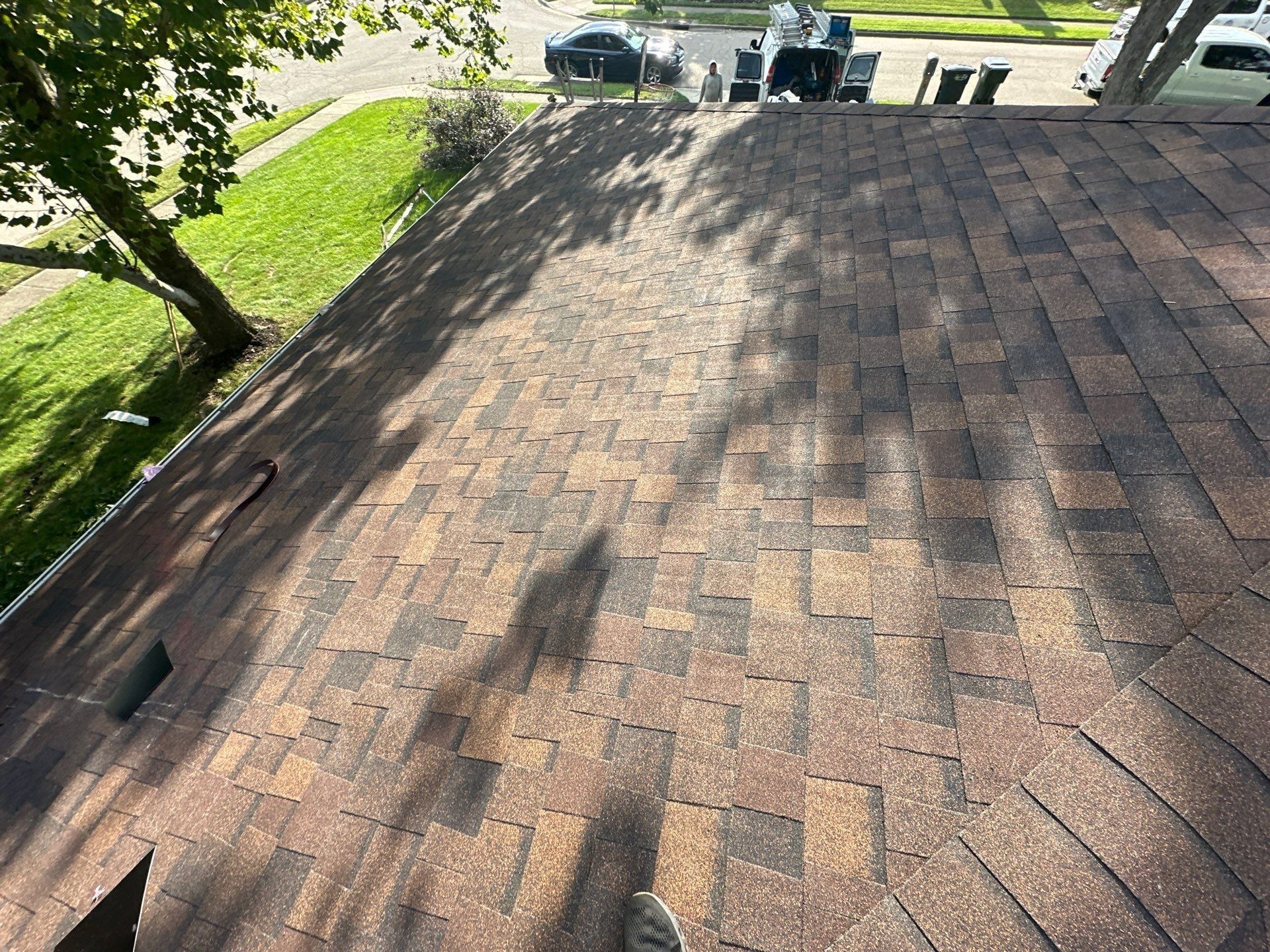 The finished front slope under the shade tree, looking to the street, Dayton, Ohio.