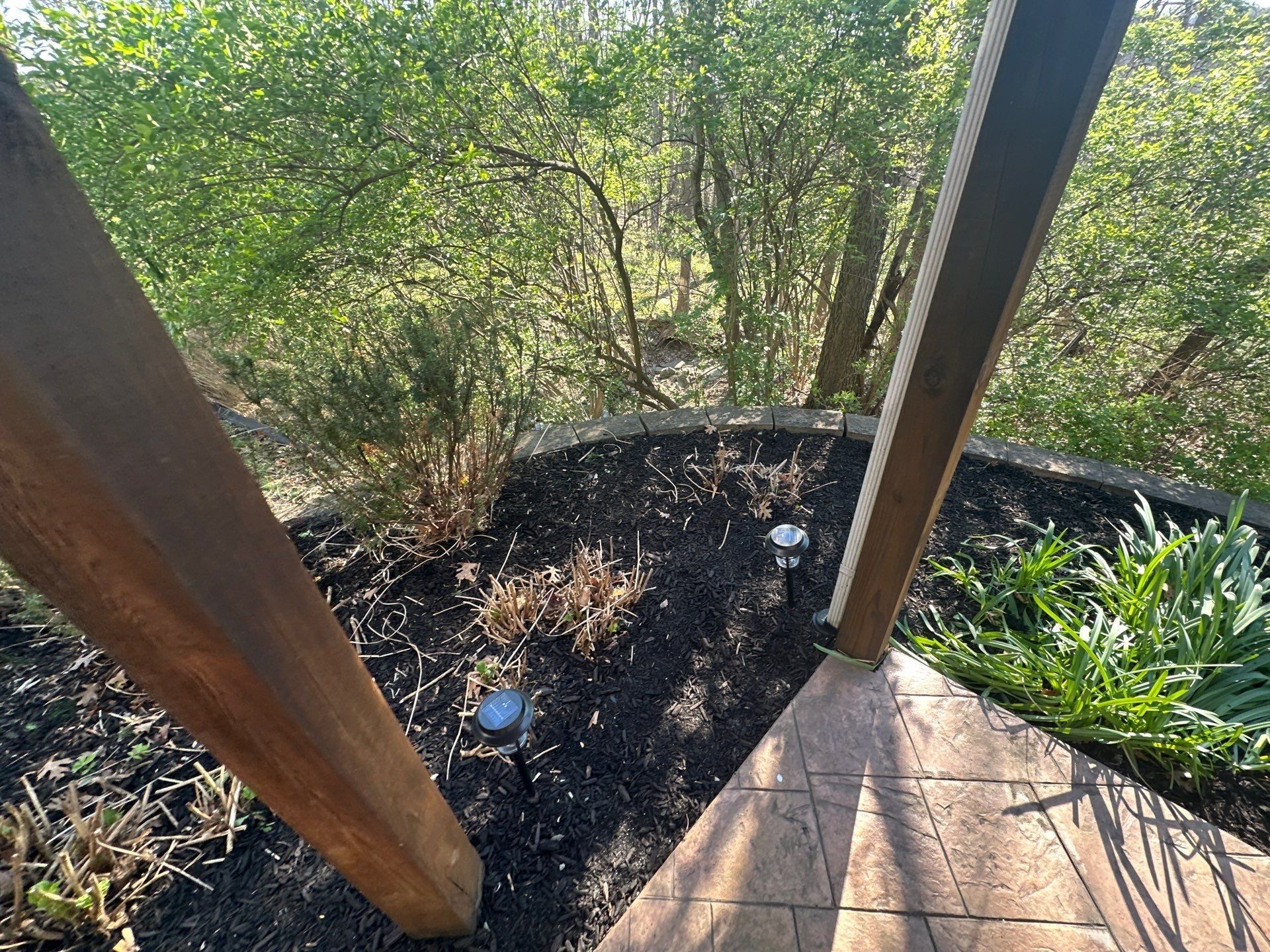 Mulch bed, solar lights and downspout